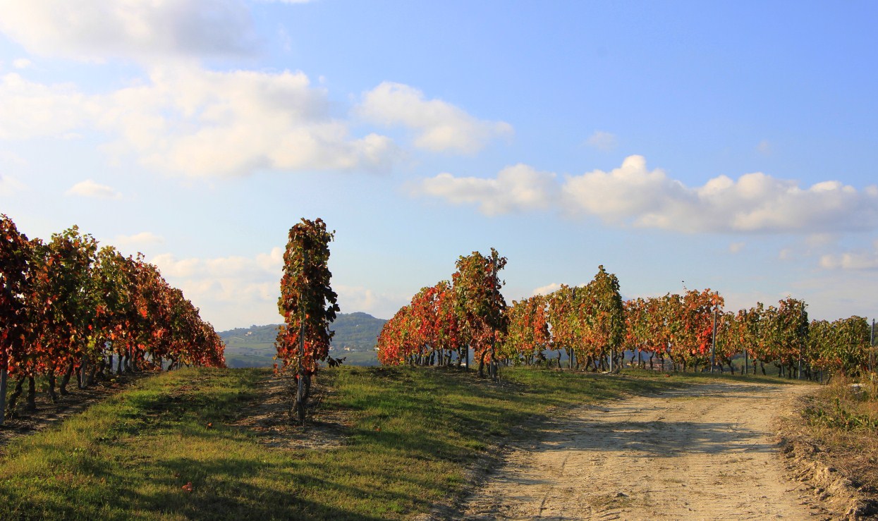 in cima alla collina