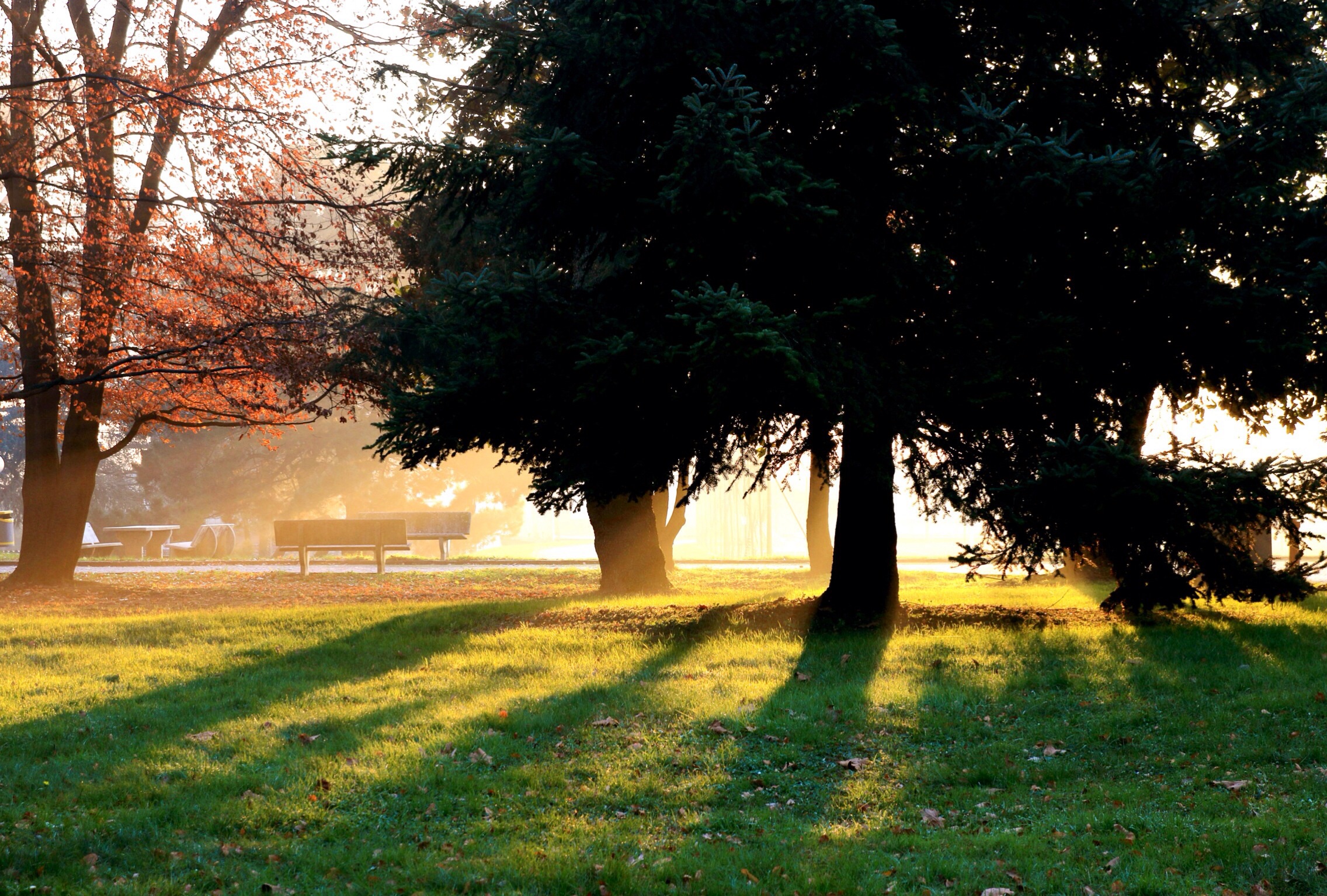 Ultimi raggi di sole 1