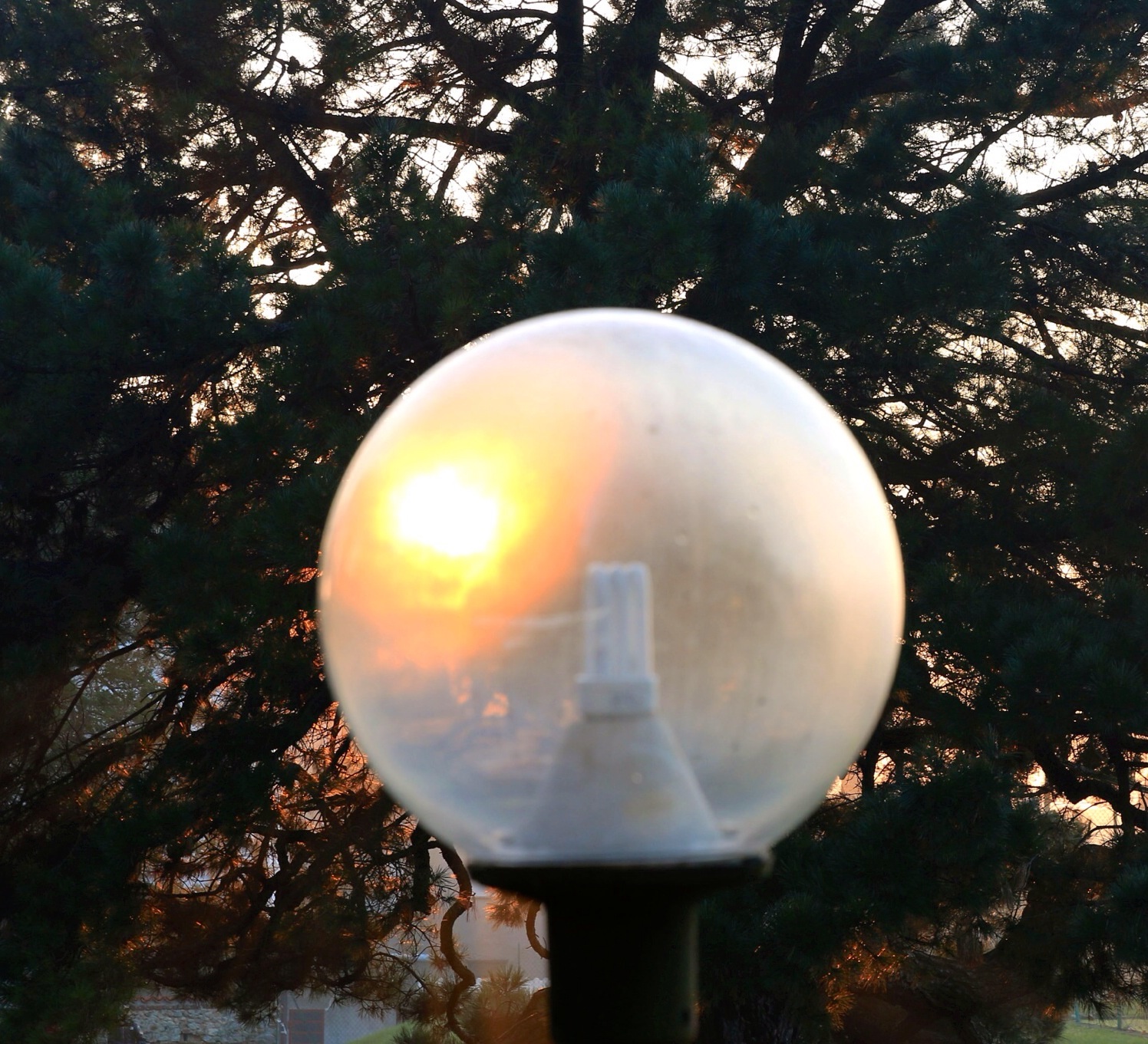 Ultimi raggi di sole 2