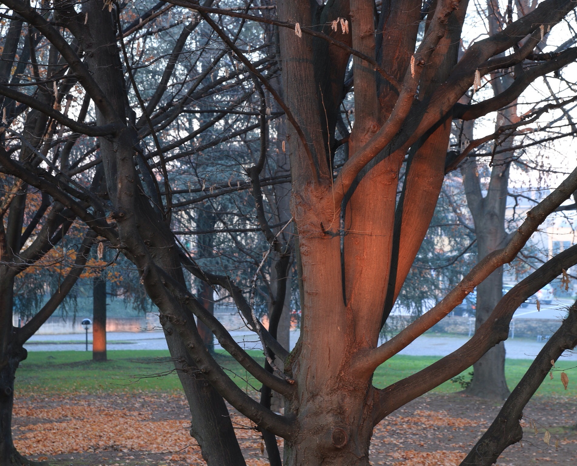 Ultimi raggi di sole 3