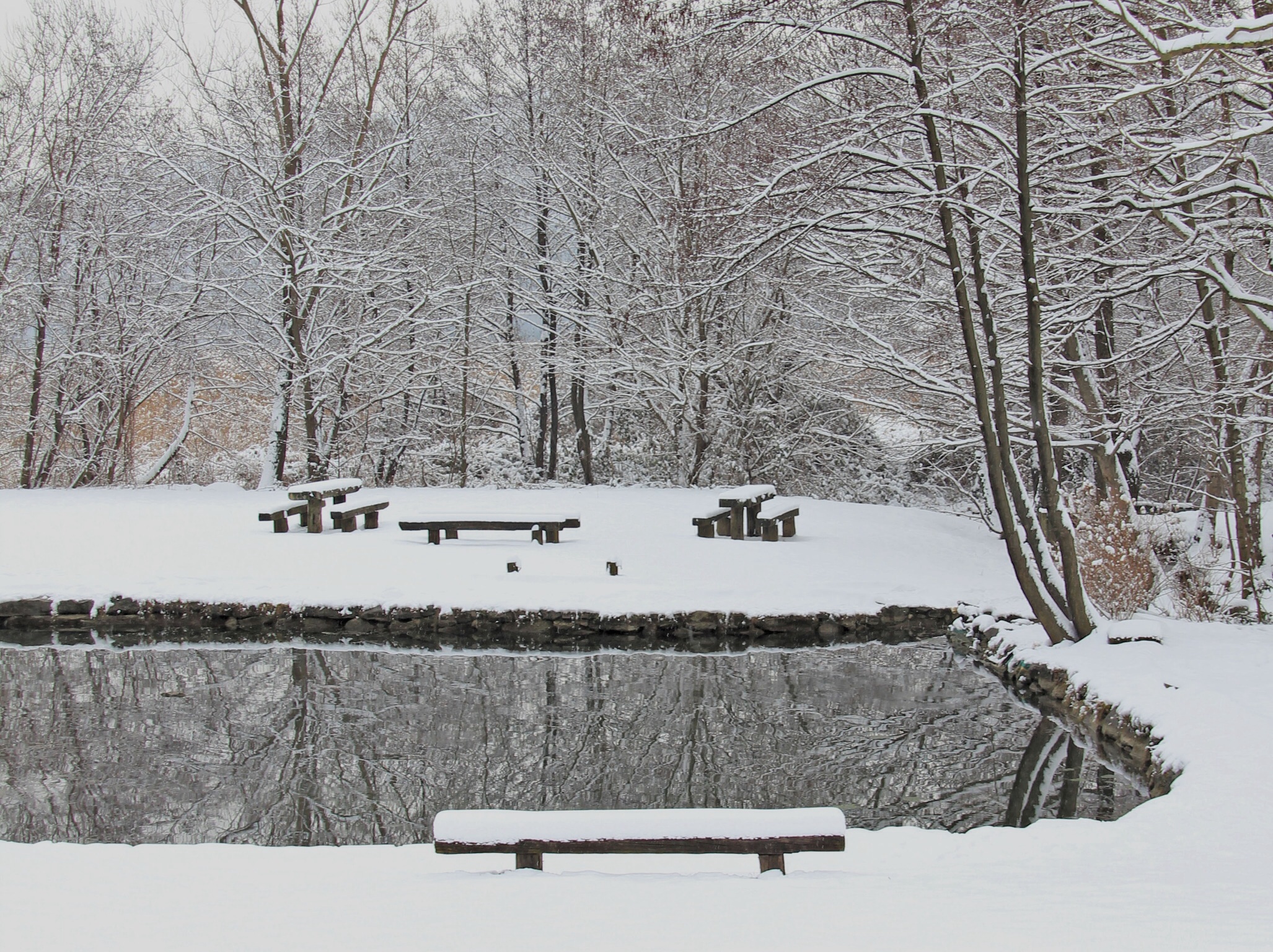 Riflesso particolare