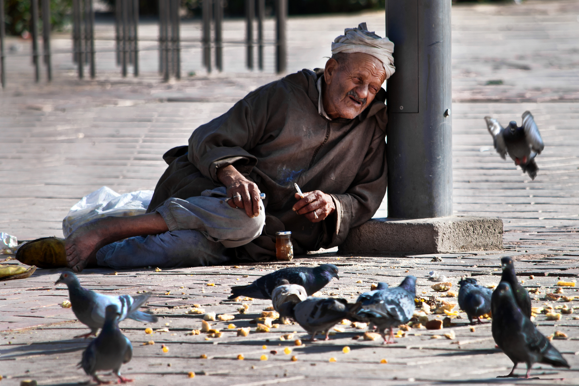 The old and the pigeons