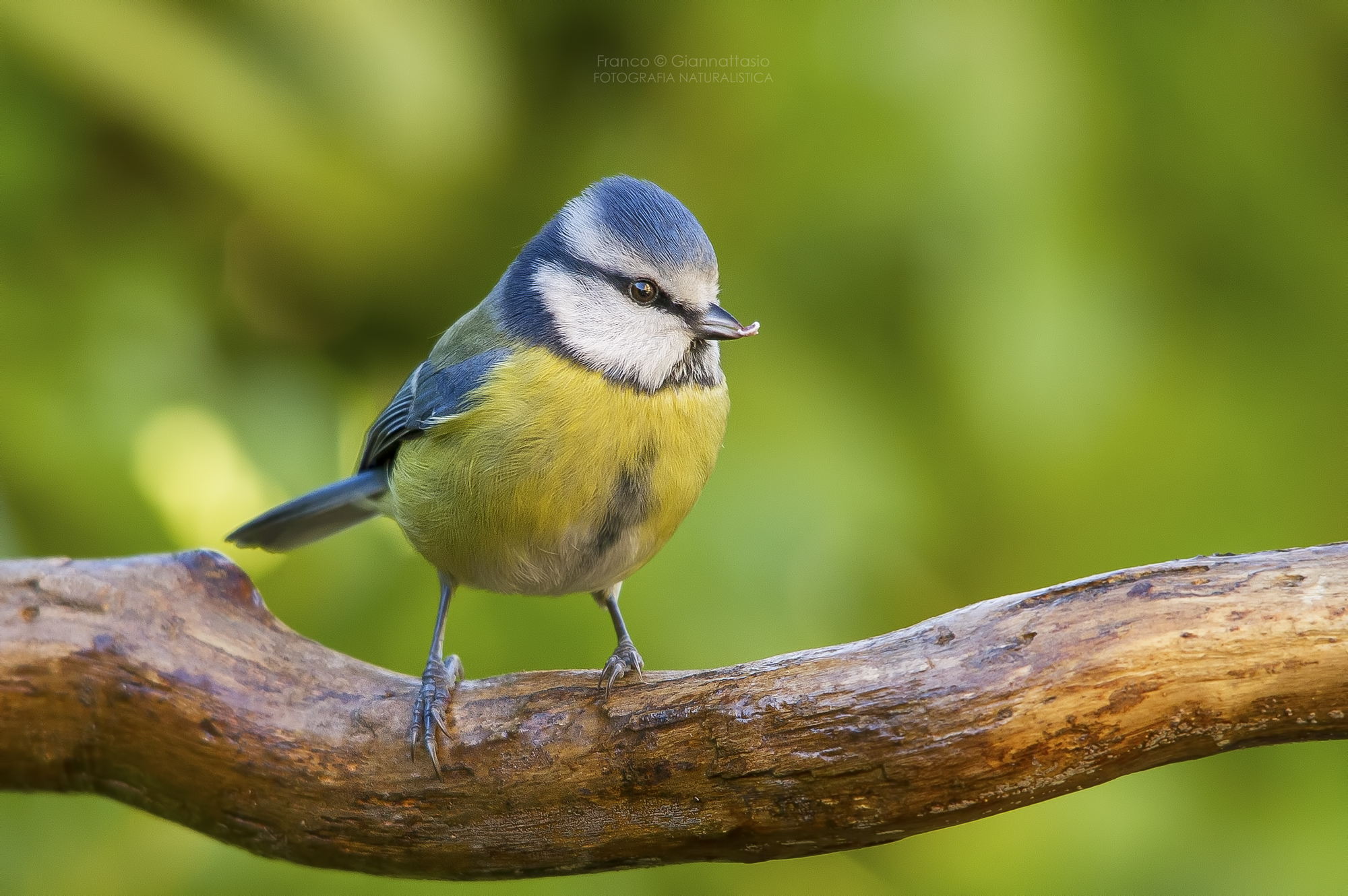 Sold ....... last tit.