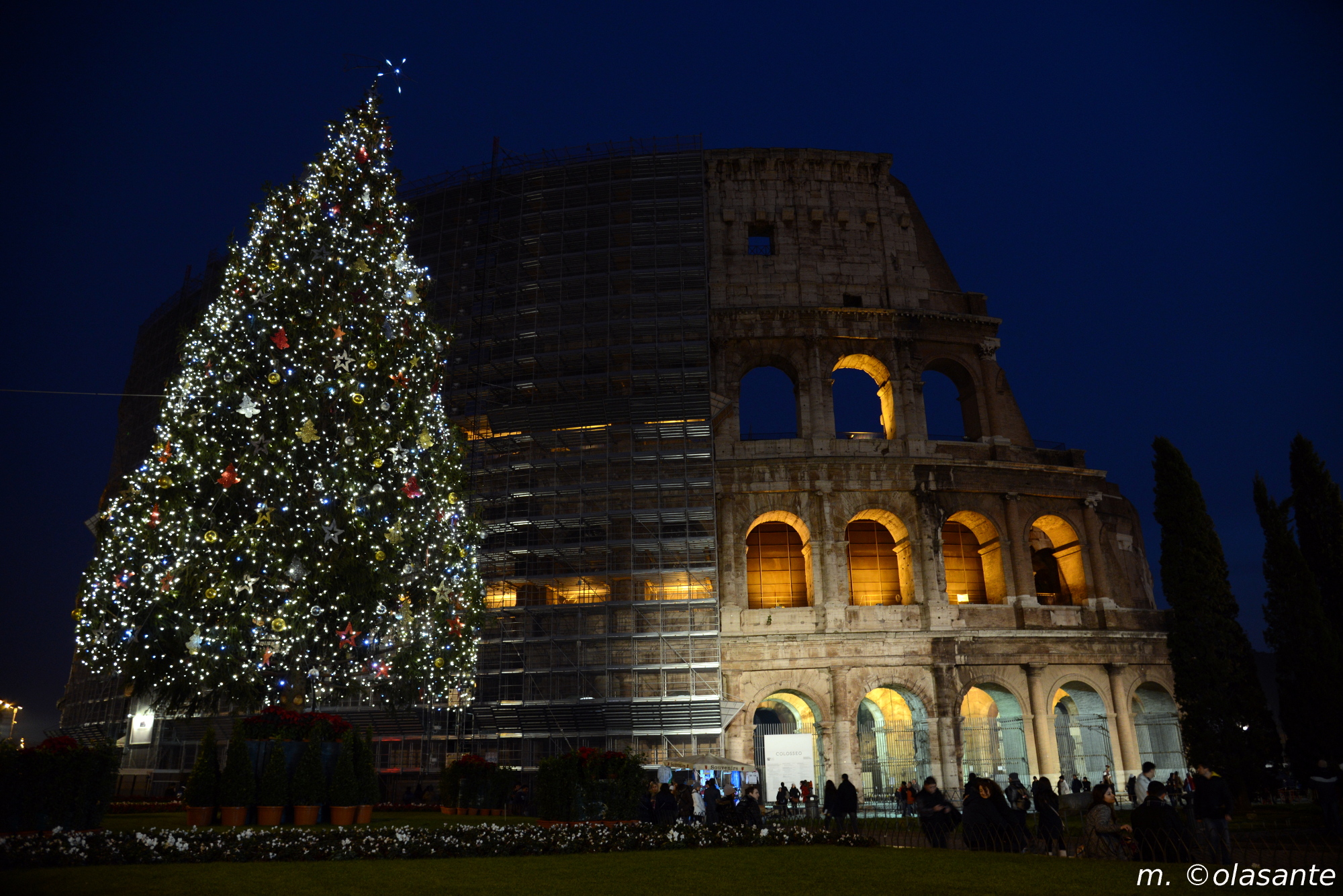 Albero di natale al Colosseo