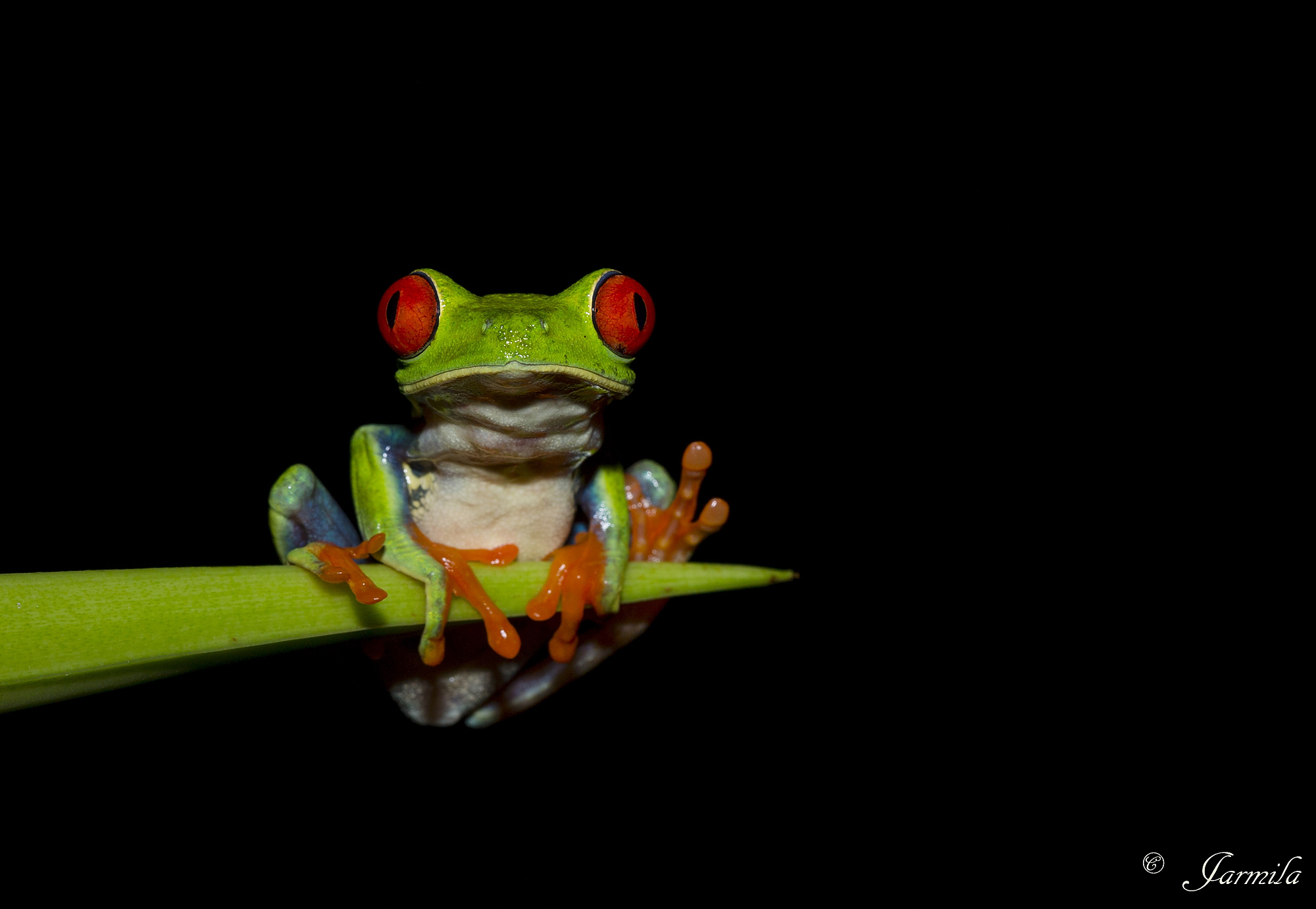 Ti piacciono i miei occhi?