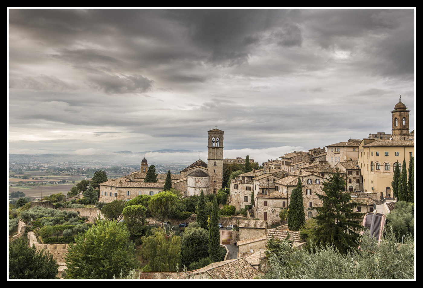assisi