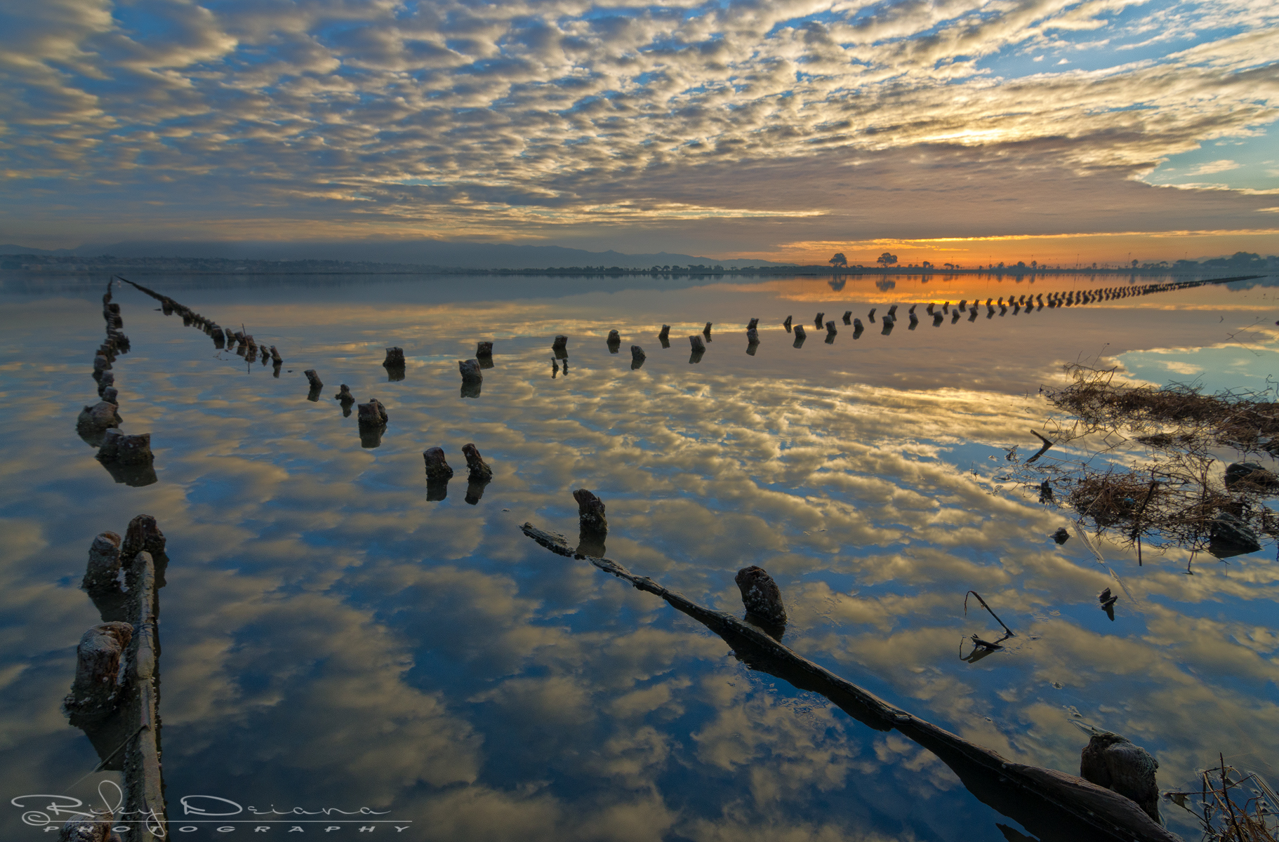 The different paths of our life