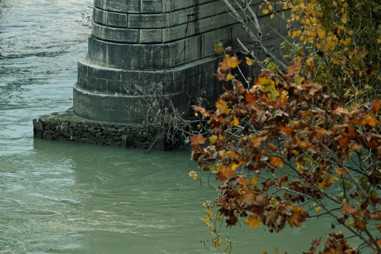 L'isola Tiberina, Carl Zeiss Sonnar 135mm f/4