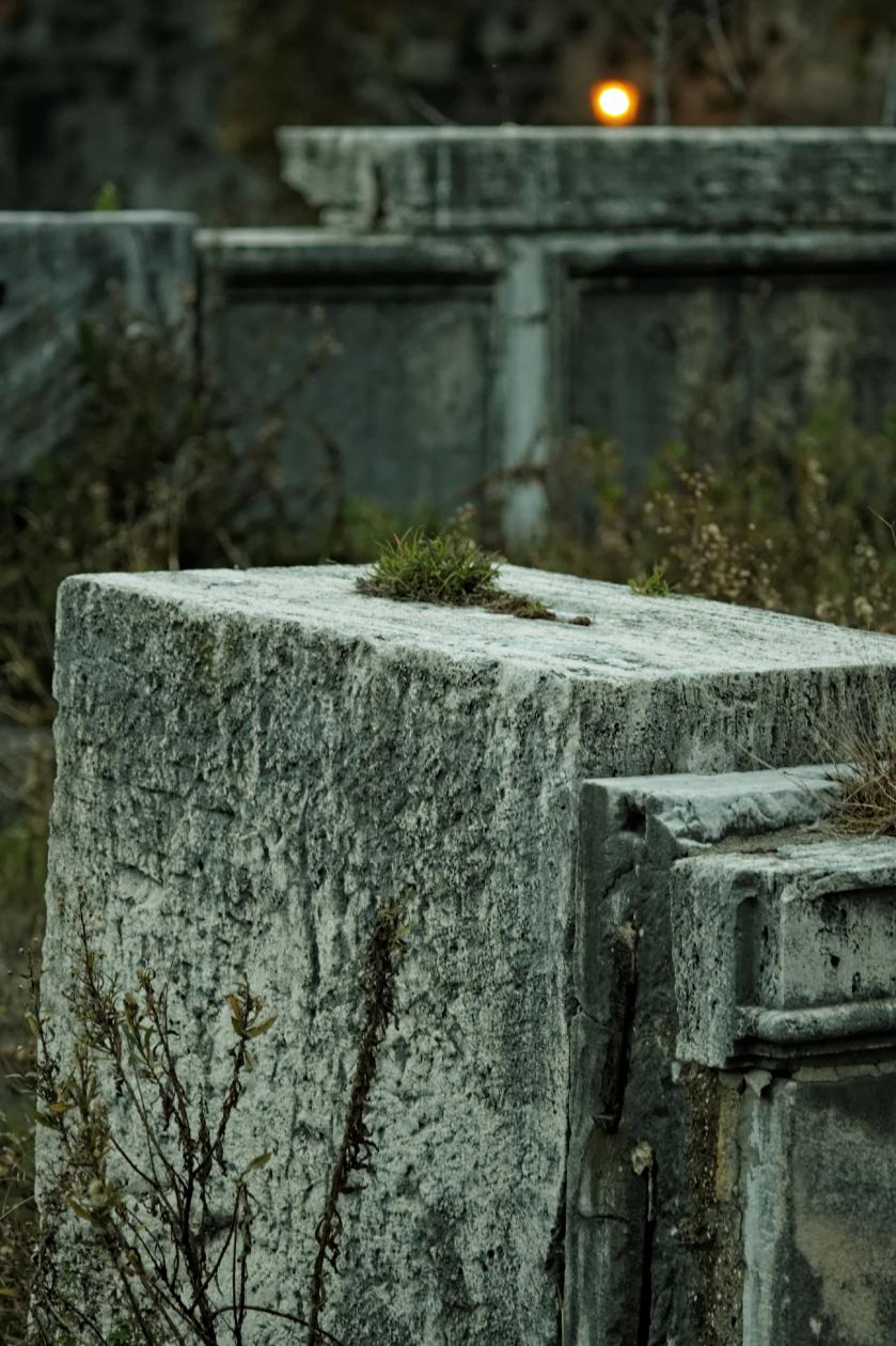 L'isola Tiberina, Carl Zeiss Sonnar 135mm f/4