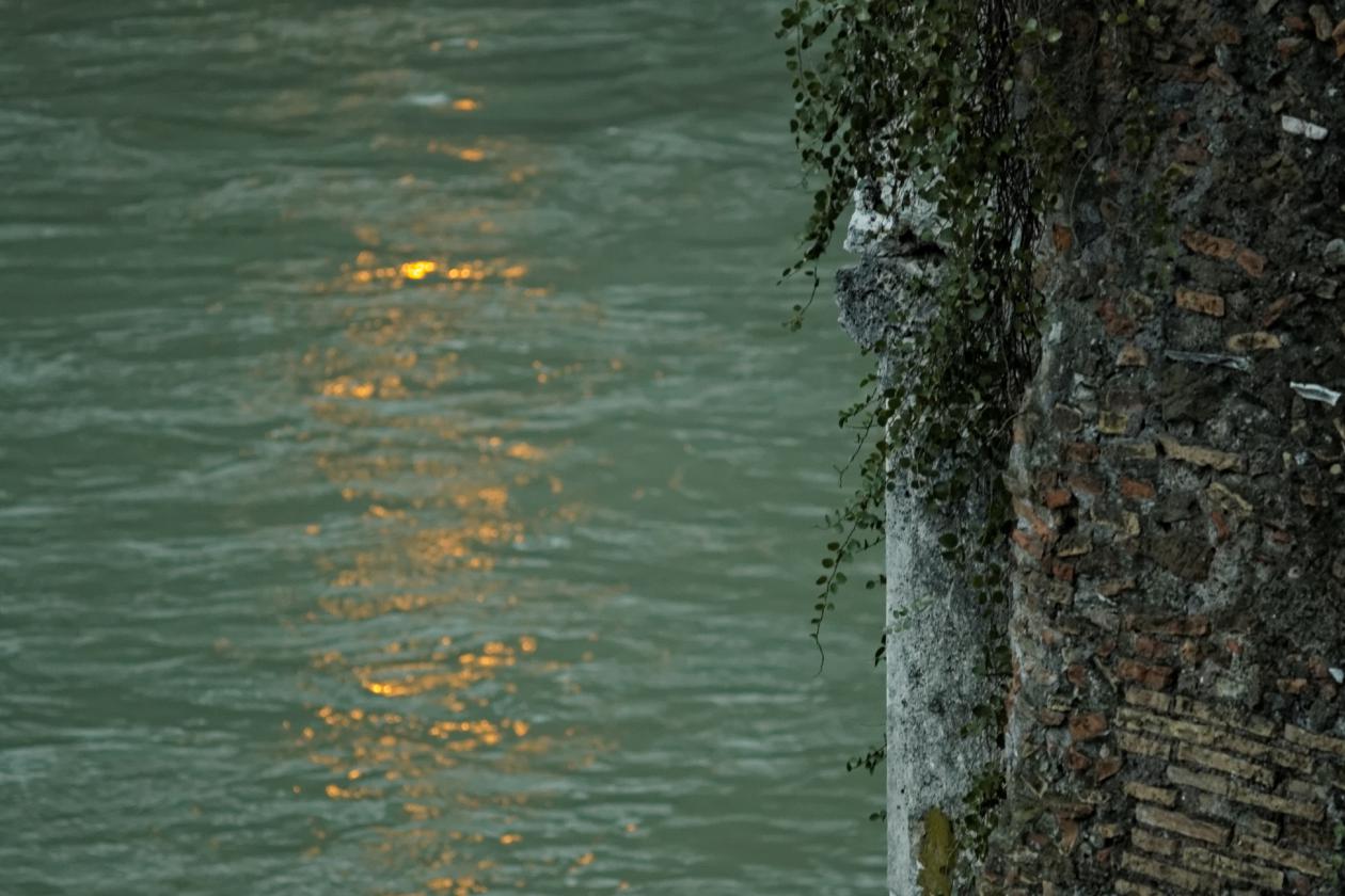 L'isola Tiberina, Carl Zeiss Sonnar 135mm f/4