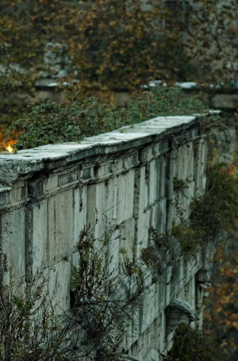 L'isola Tiberina, Carl Zeiss Sonnar 135mm f/4