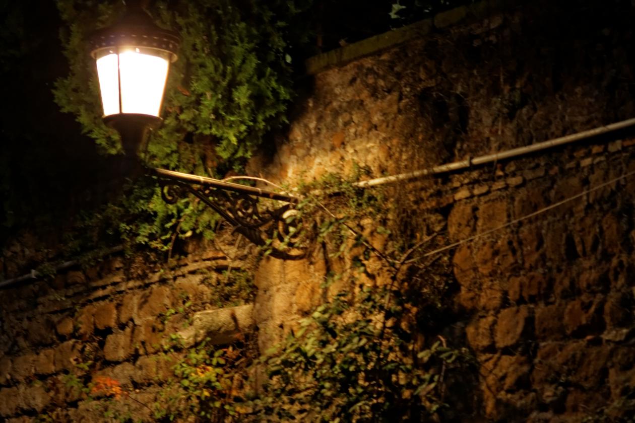 L'isola Tiberina, Carl Zeiss Sonnar 135mm f/4