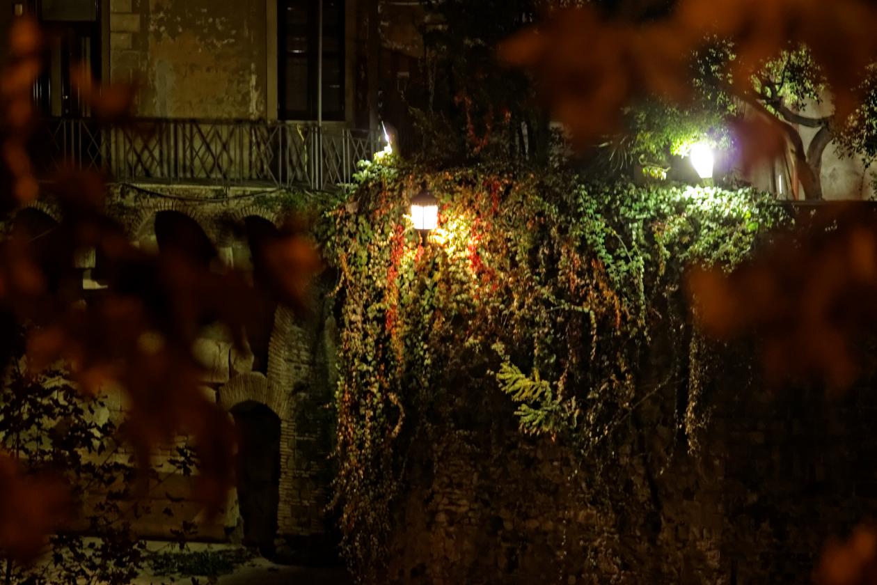 L'isola Tiberina, Carl Zeiss Sonnar 135mm f/4