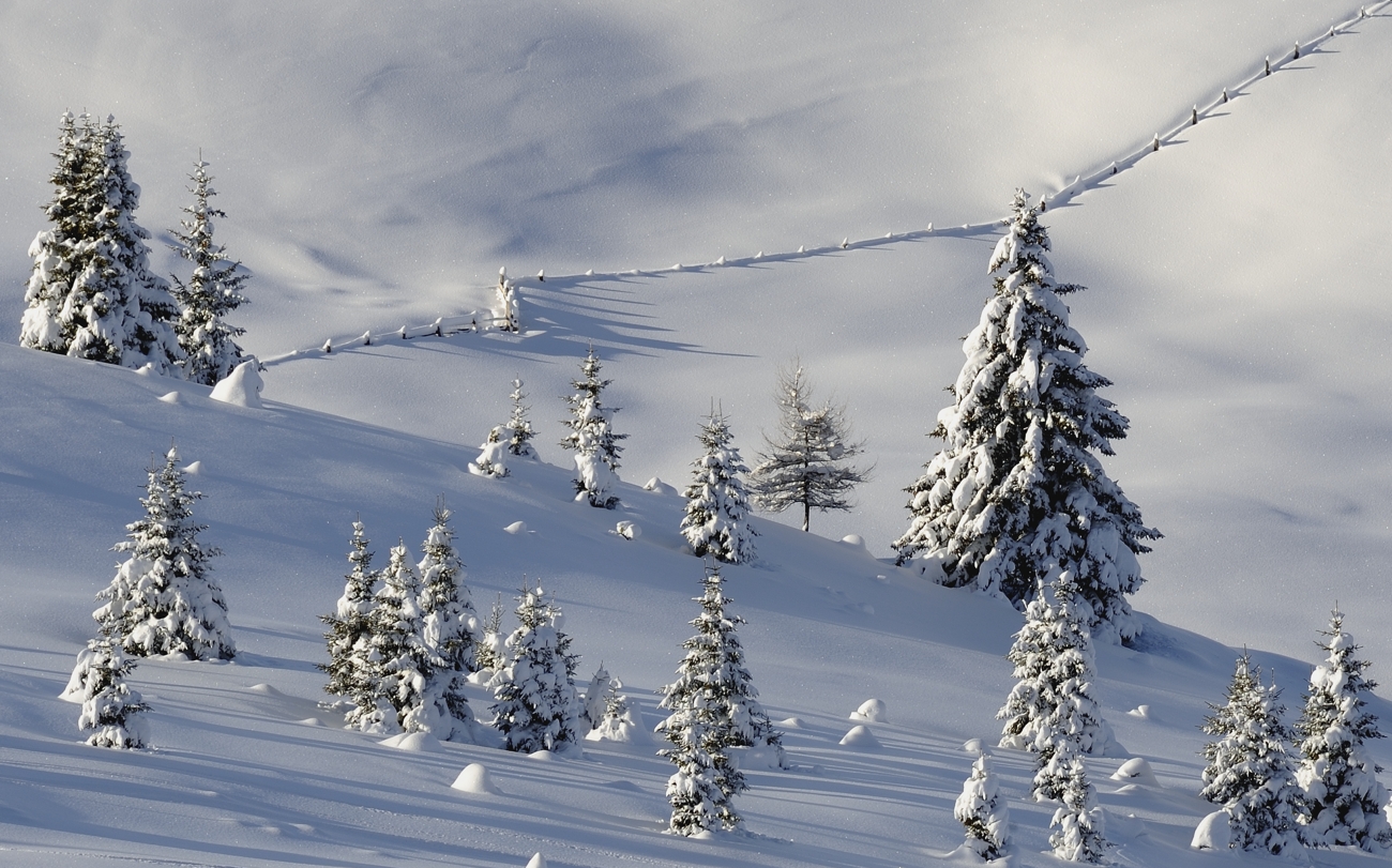 Tanta Tanta Neve Tanti Tanti Auguri di Un Felice 2014