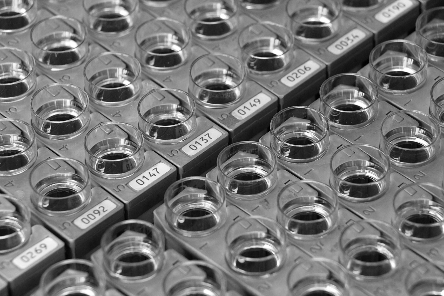 tutti i santi giorni