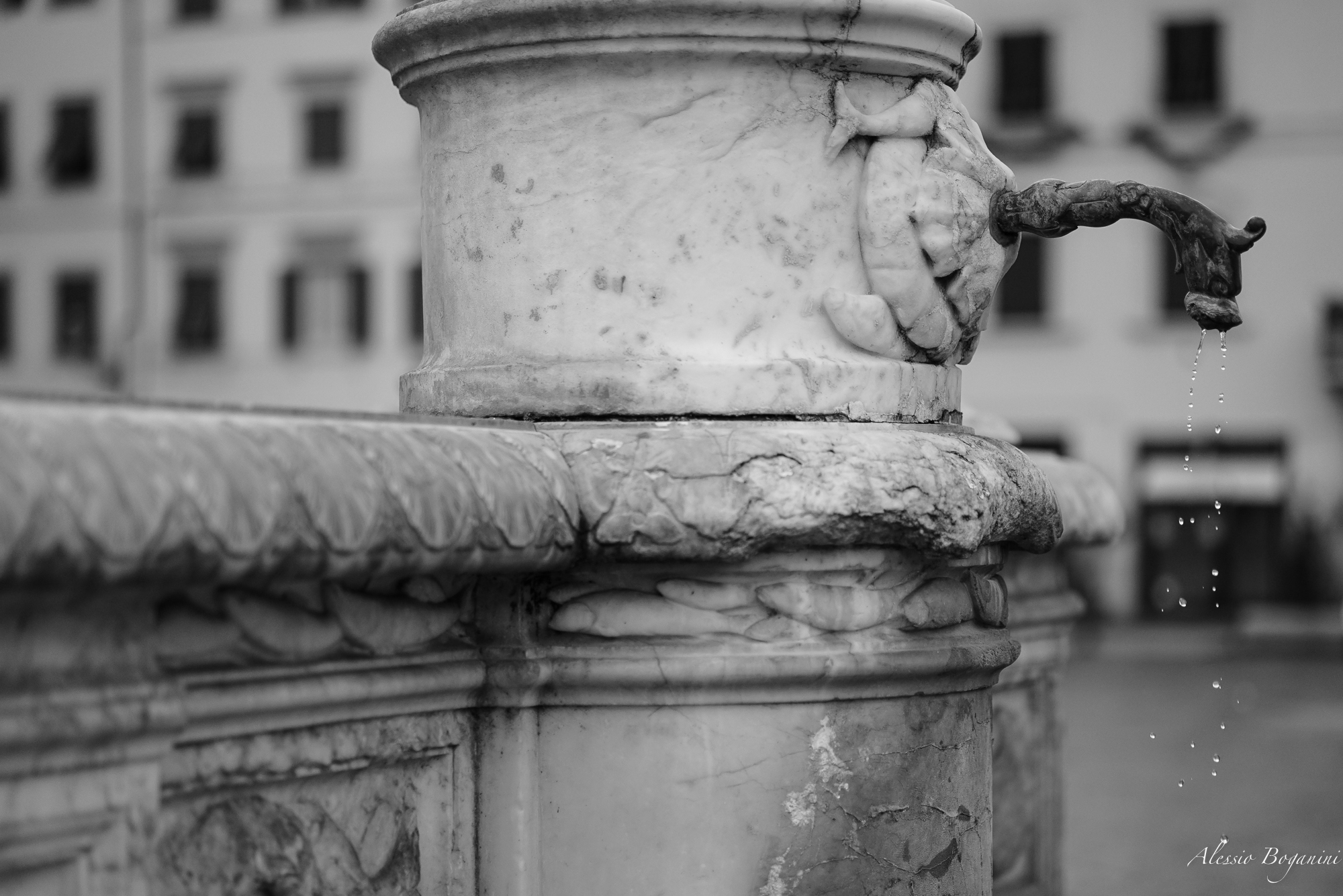 La fontana del papero
