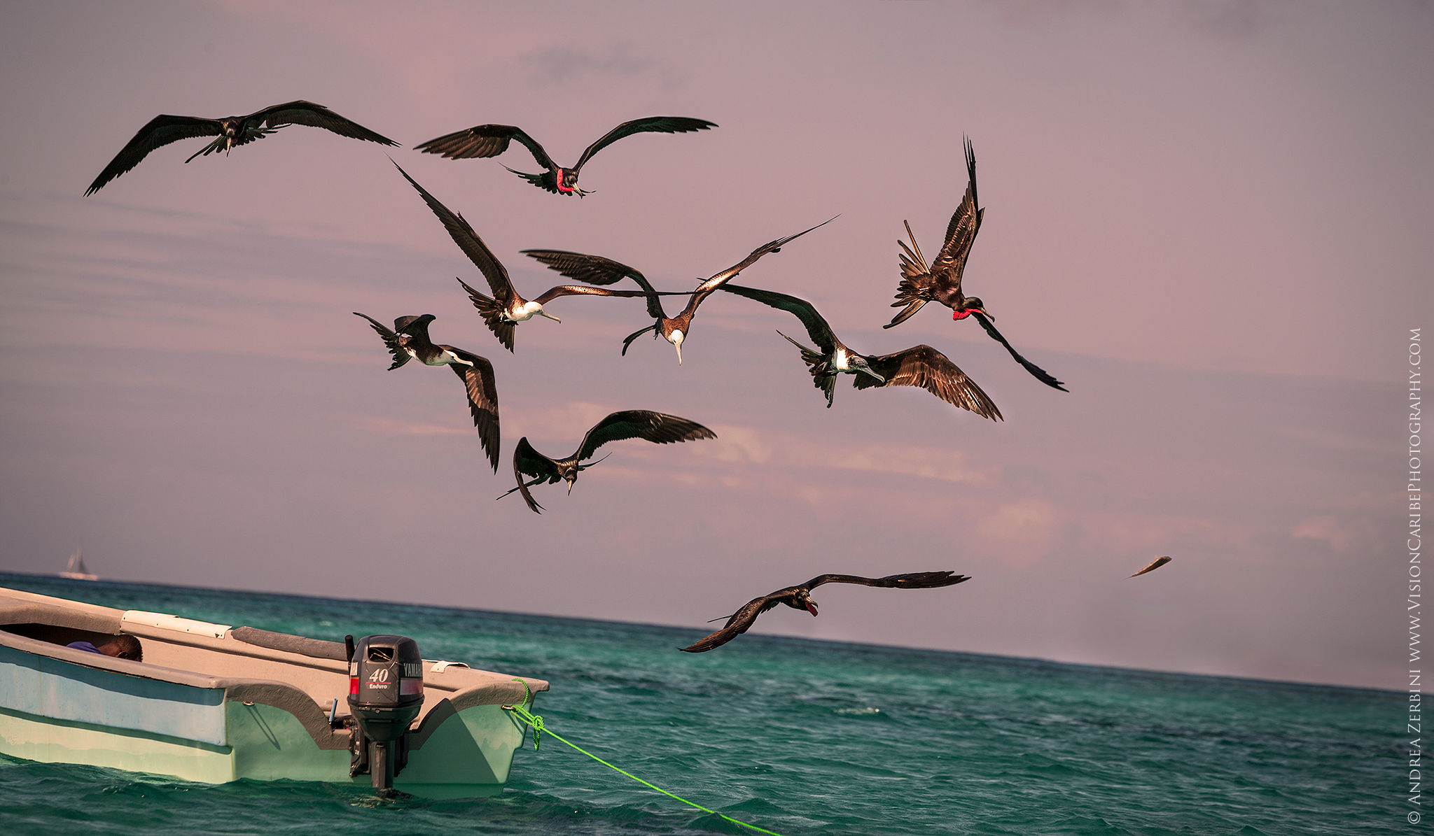 mio! mio! mio! mio! mio!