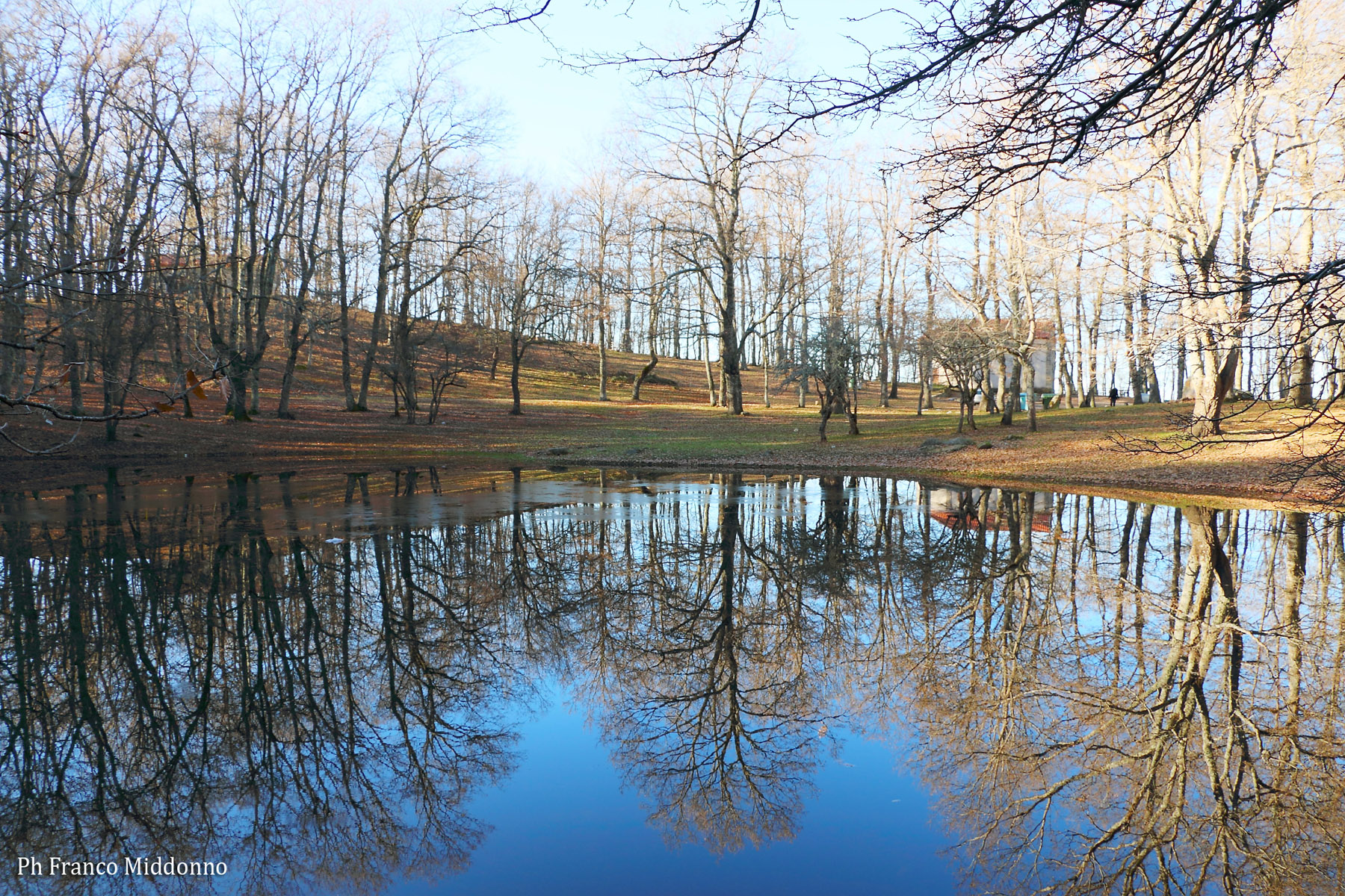Riflessi Invernali - Castroregio (cs)