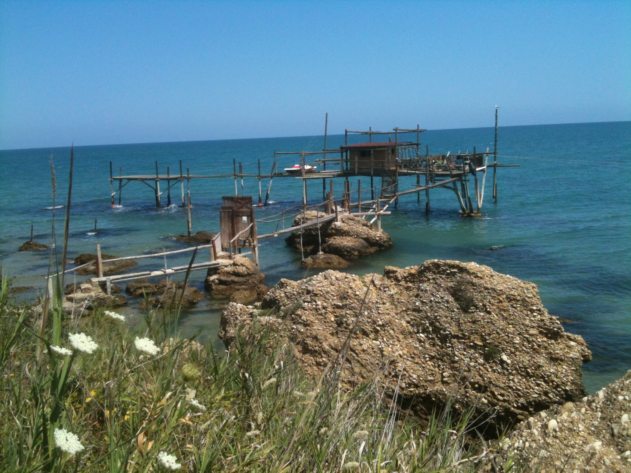 Overflow Vasto Marina (ch)