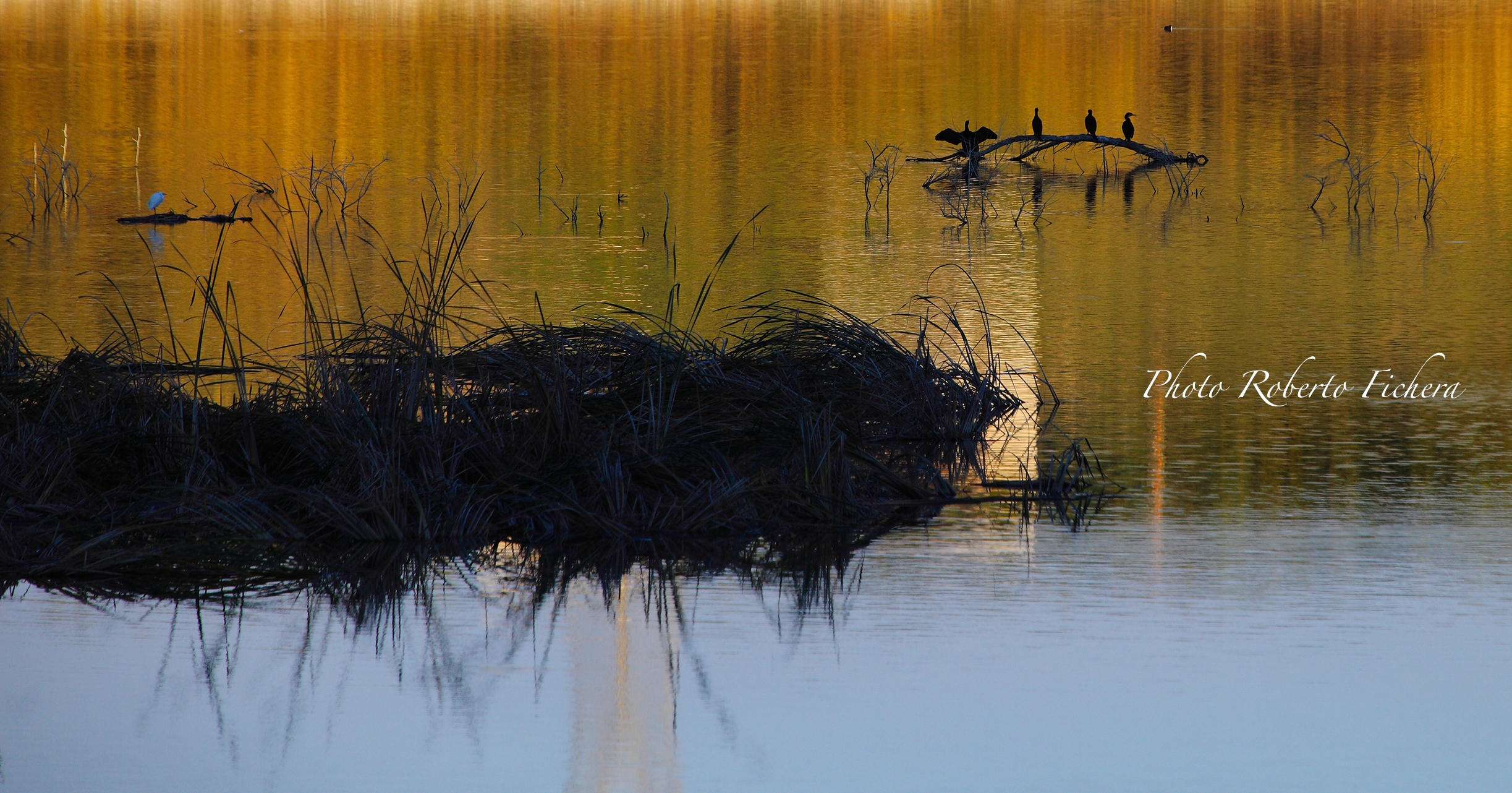 Oasi del Simeto a Paternò 3