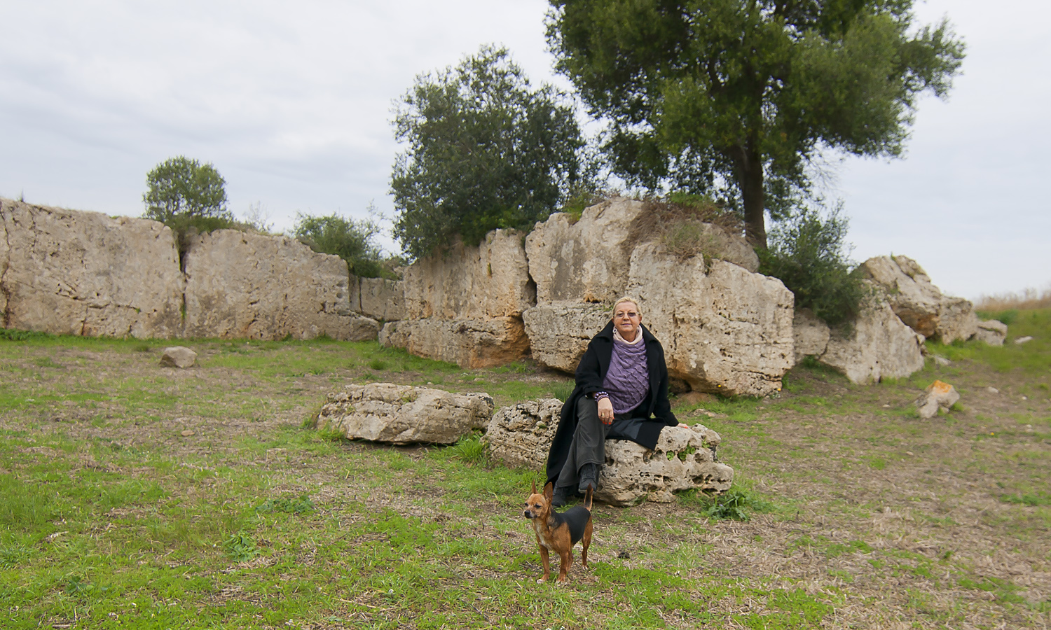Cave di Cusa - Selinunte