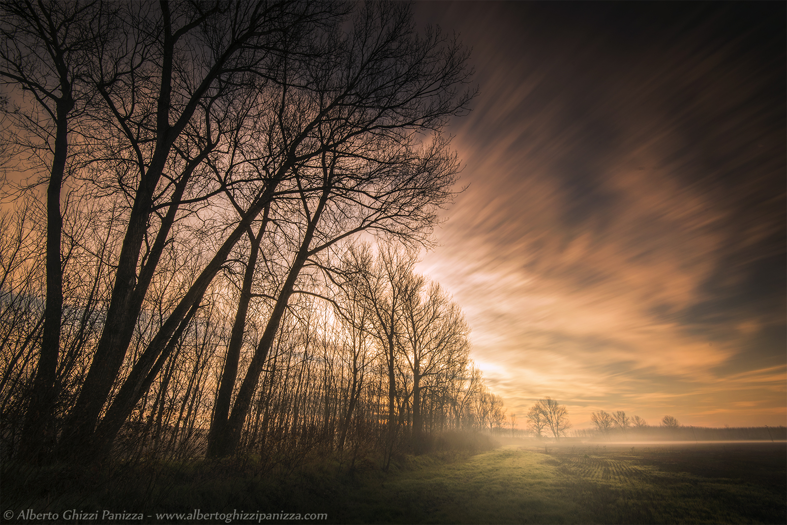 Lights and shadows on my path