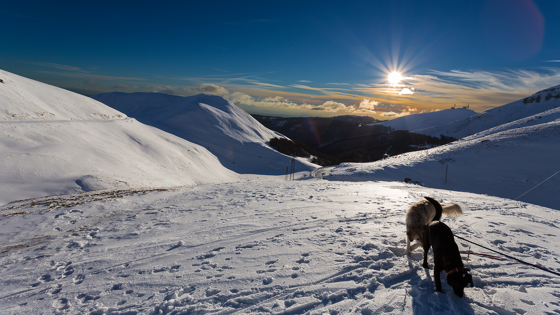 Quote Titin and snow