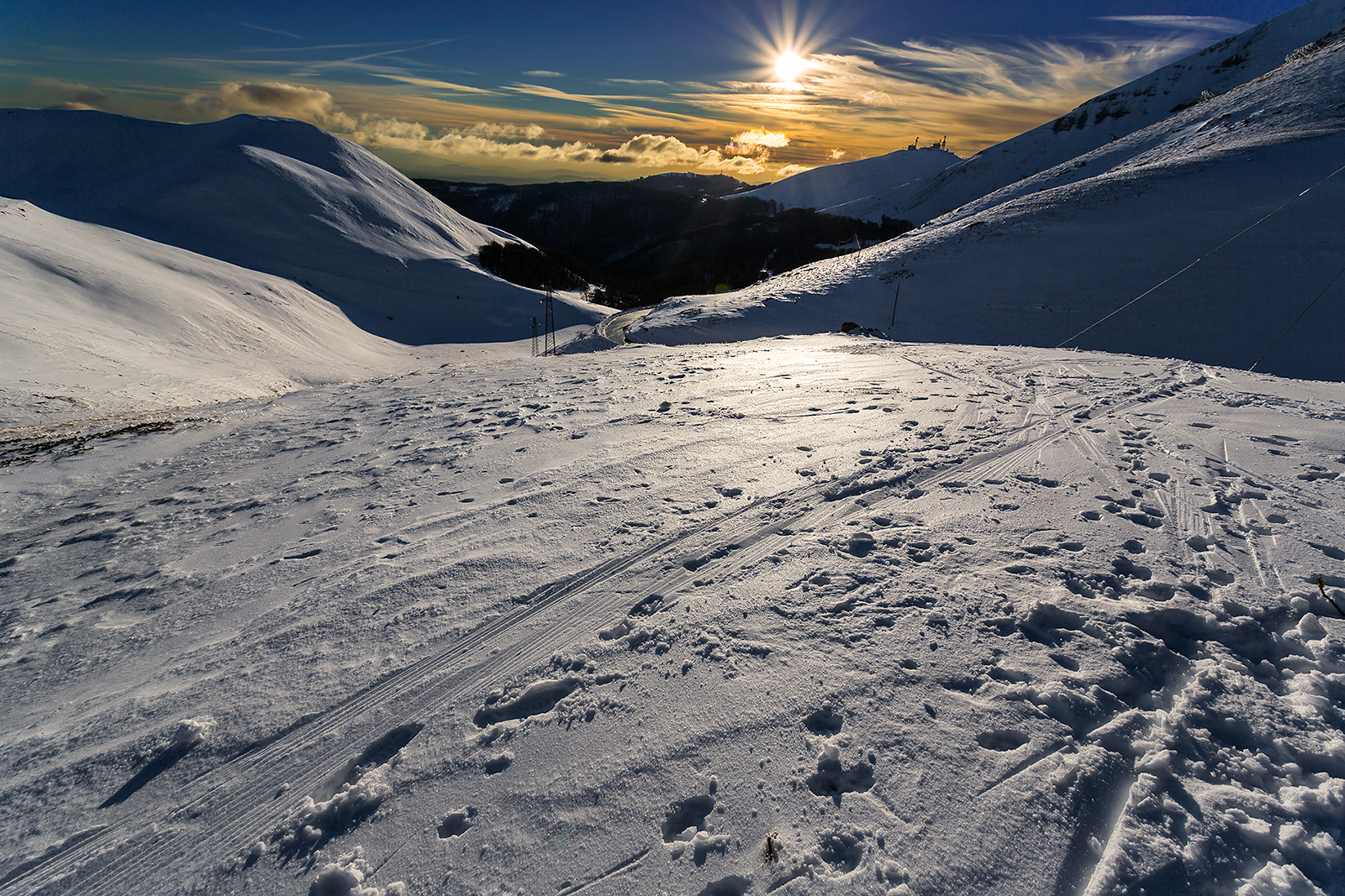 first shot after 3 months!