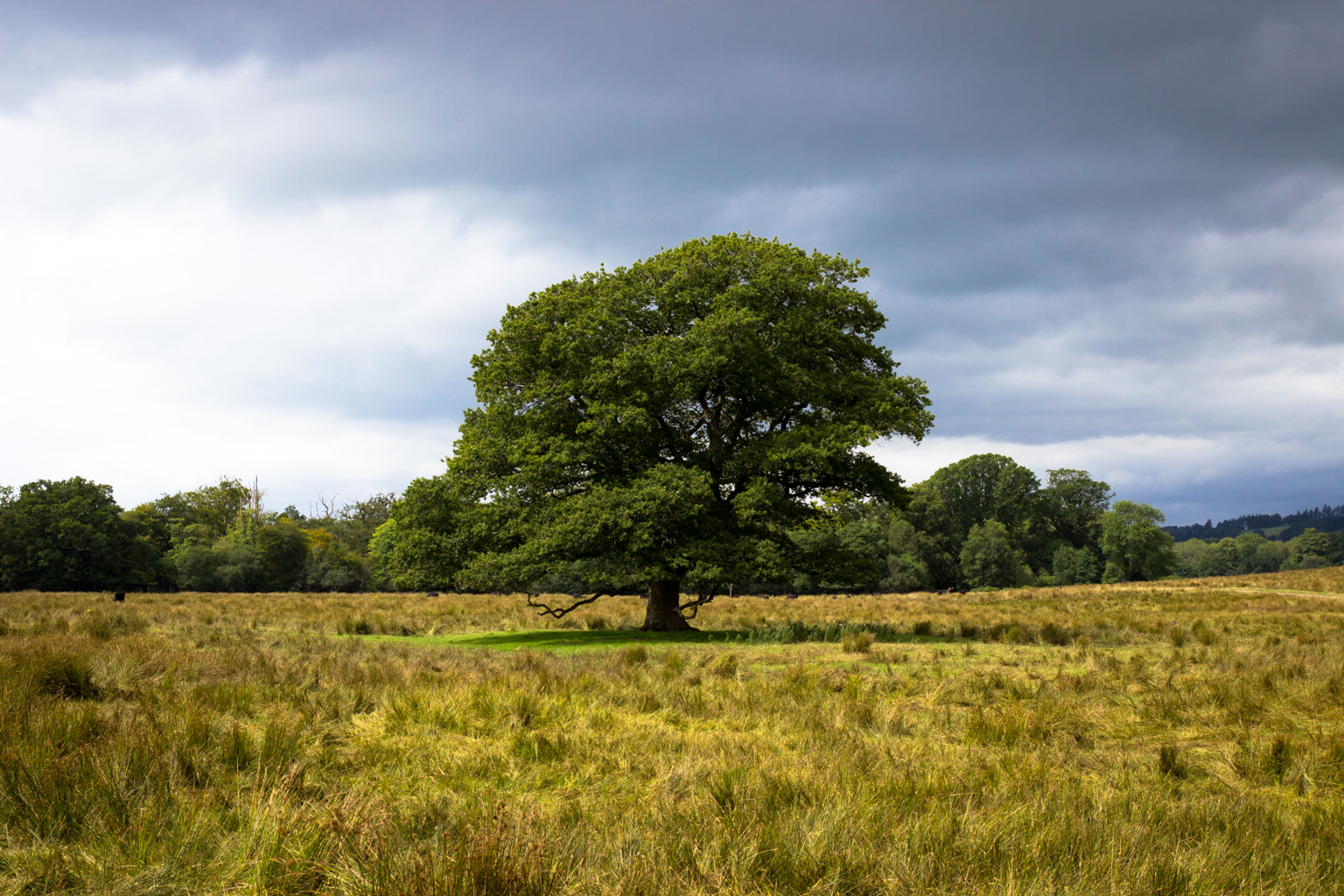 Killarney National Park