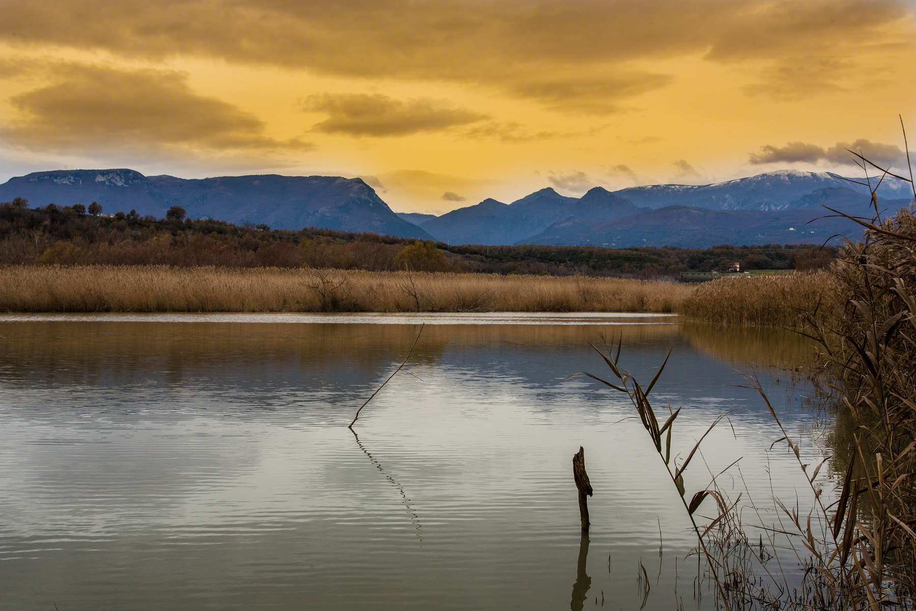 Oasi WWf Serre Persano