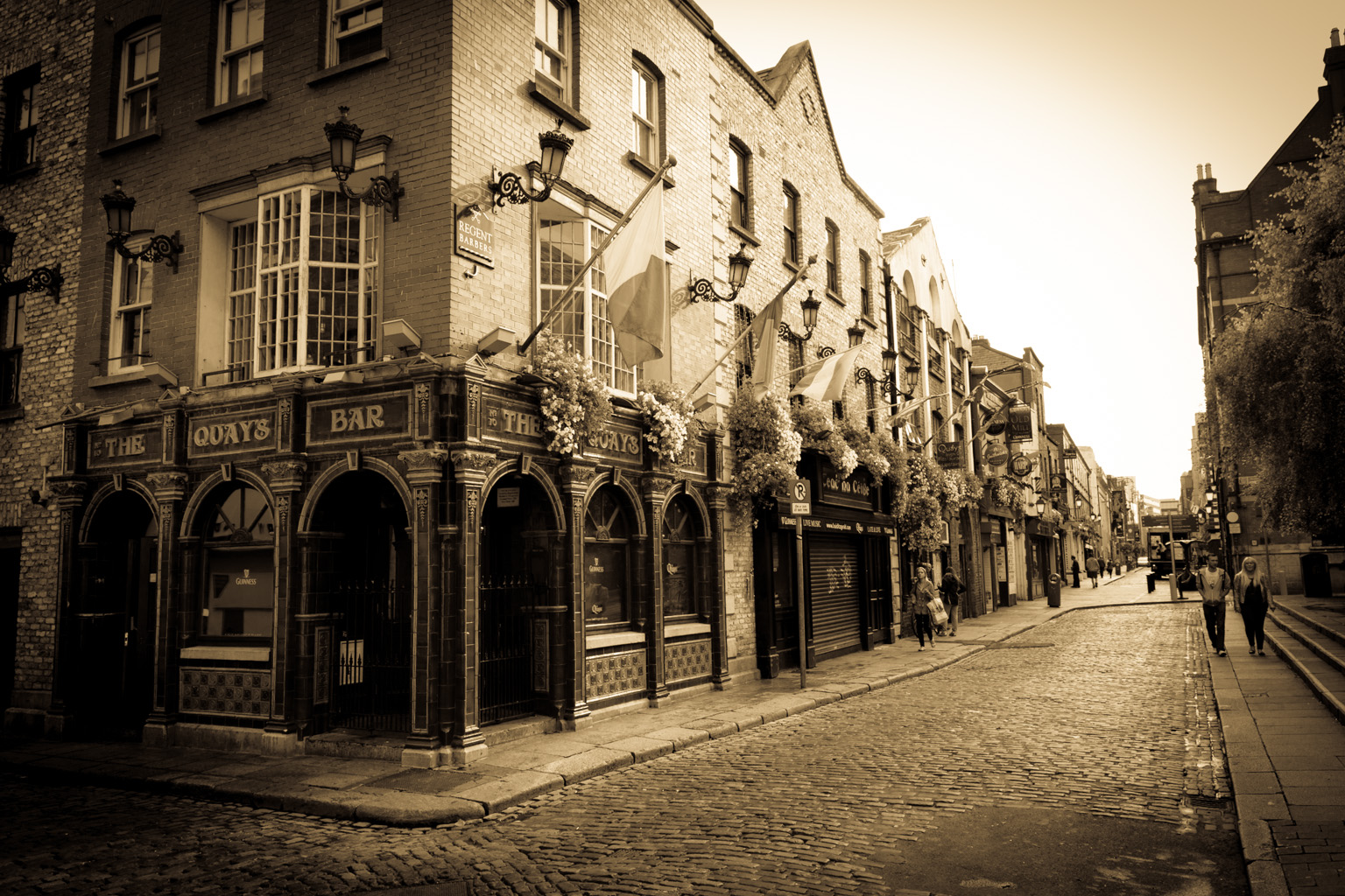 The Quay's in Temple Bar st.