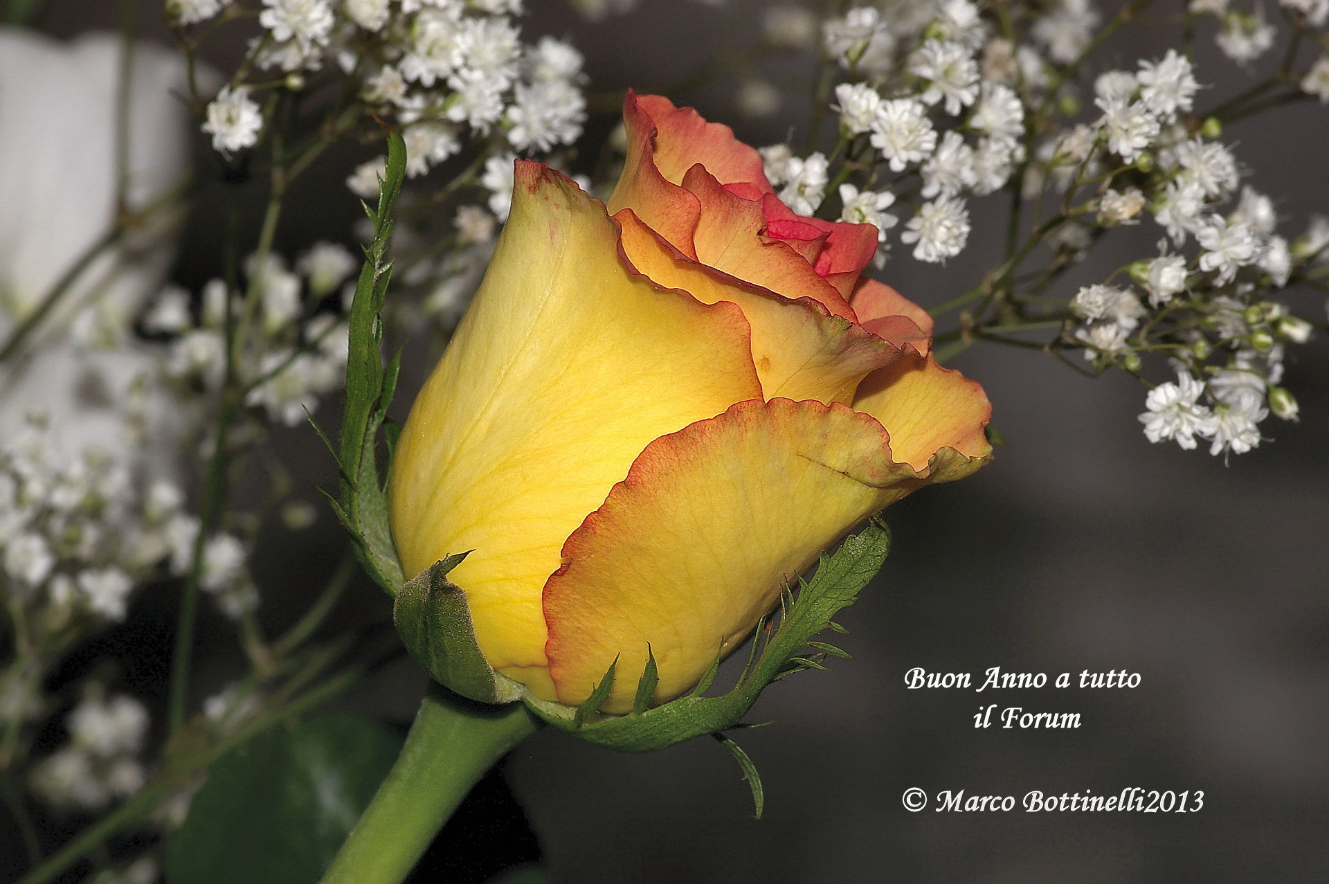 Greetings to All! Happy 2014