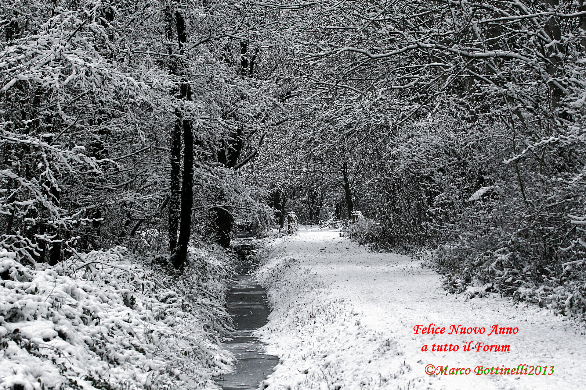 Greetings to All! Happy 2014