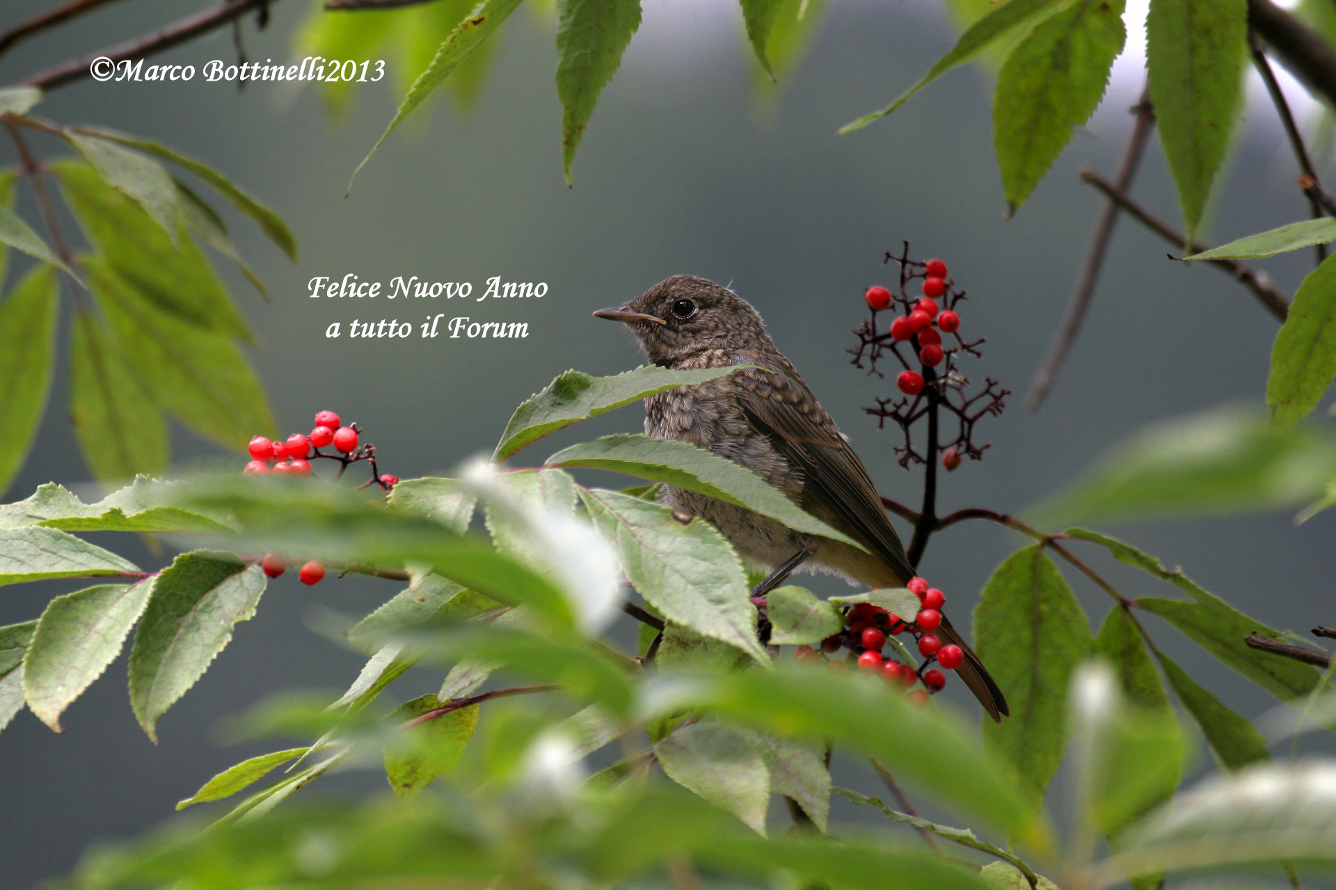 Greetings to All! Happy 2014