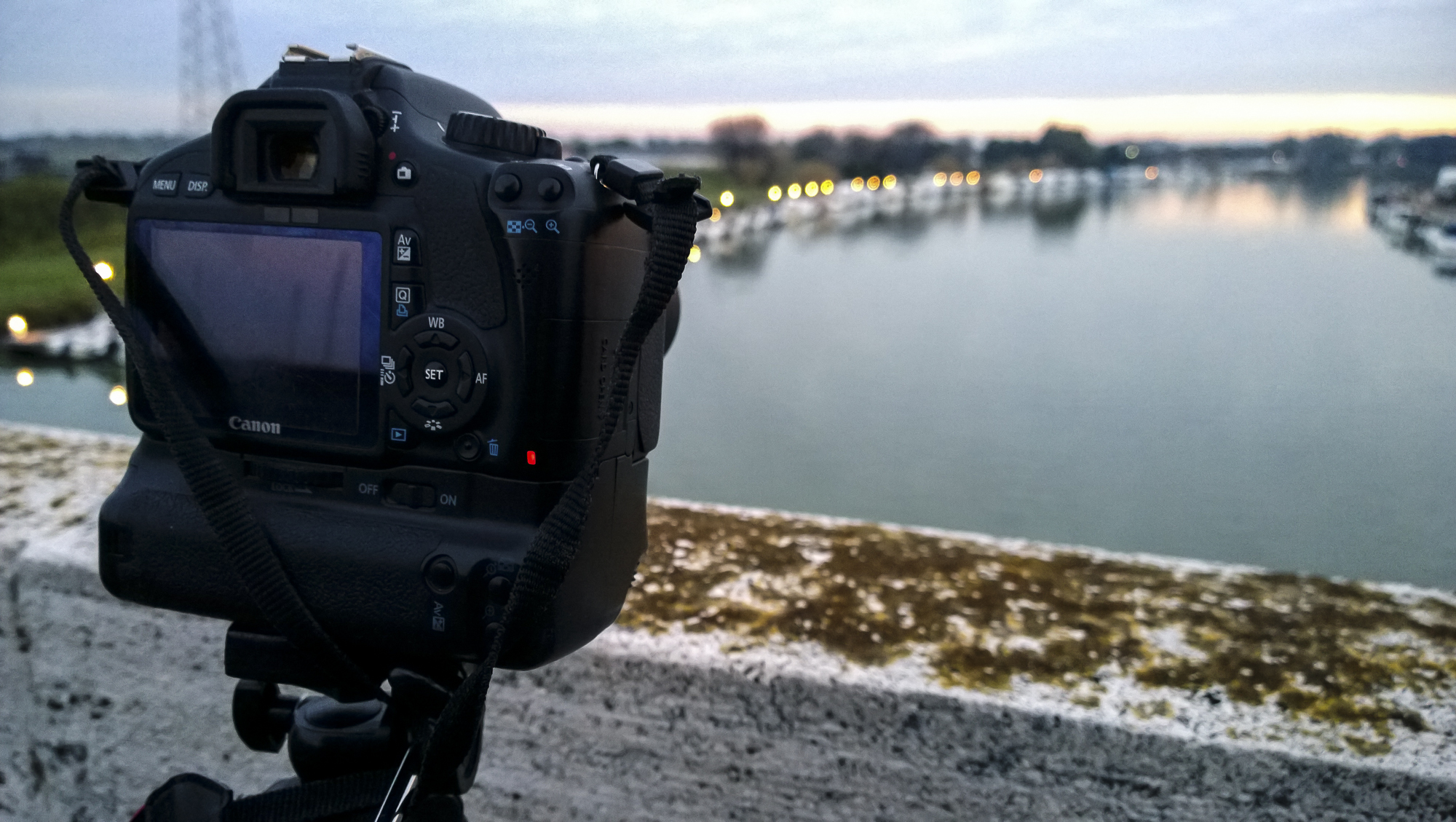 New Year, New Life ... and New photos!