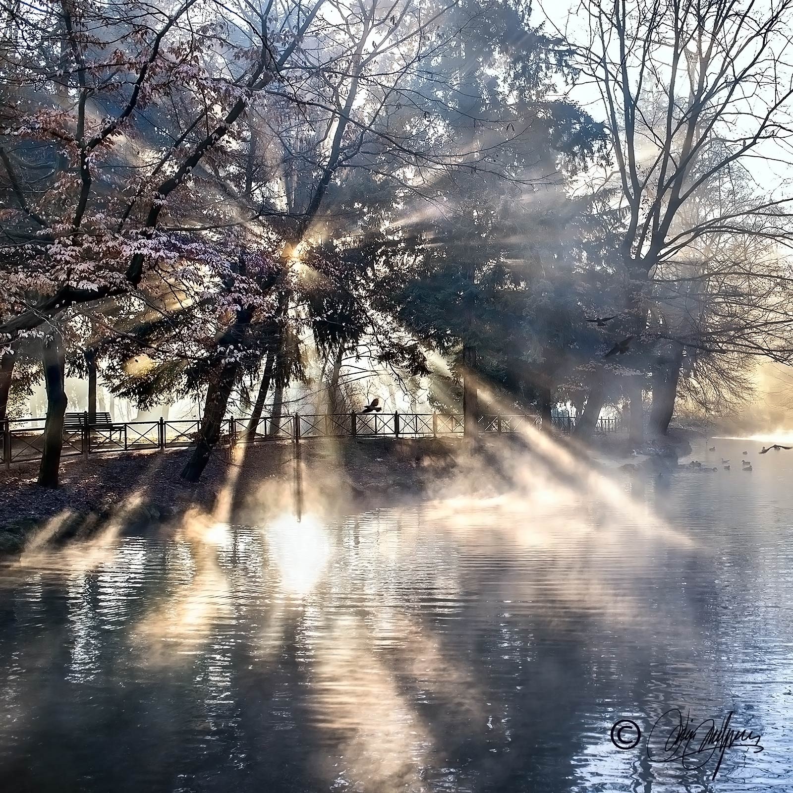 Came ... and the light ...