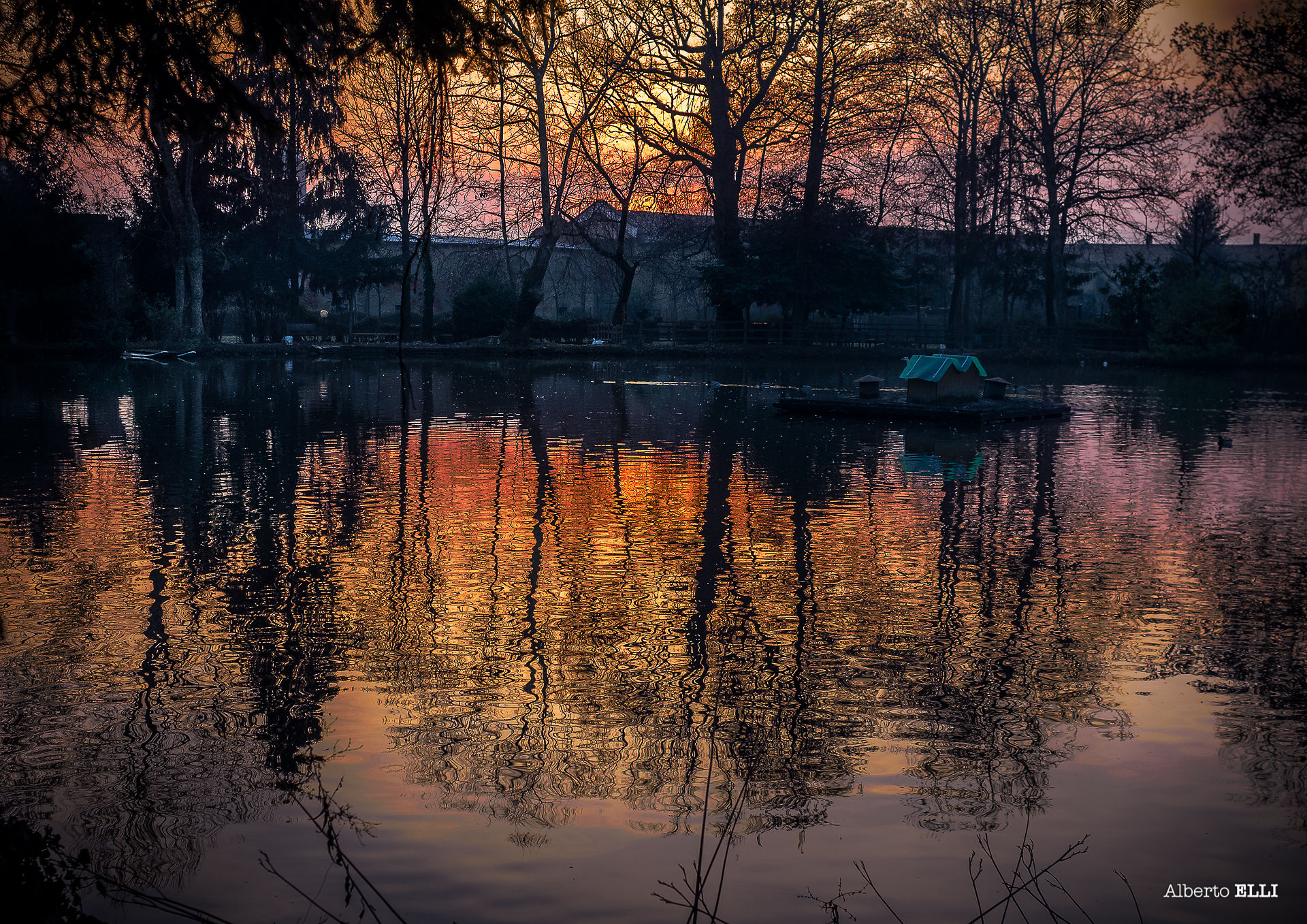 Castellazzo Bollate - Pond