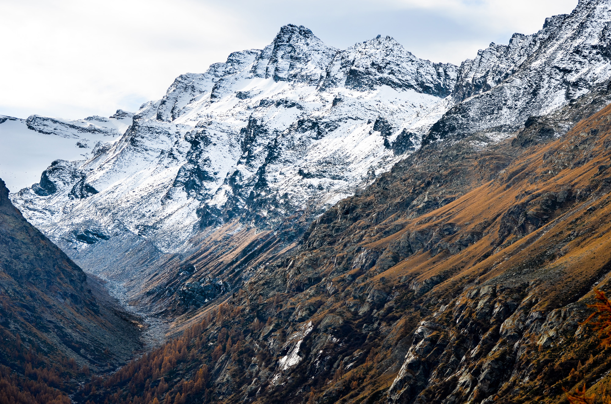 The colors of autumn ...