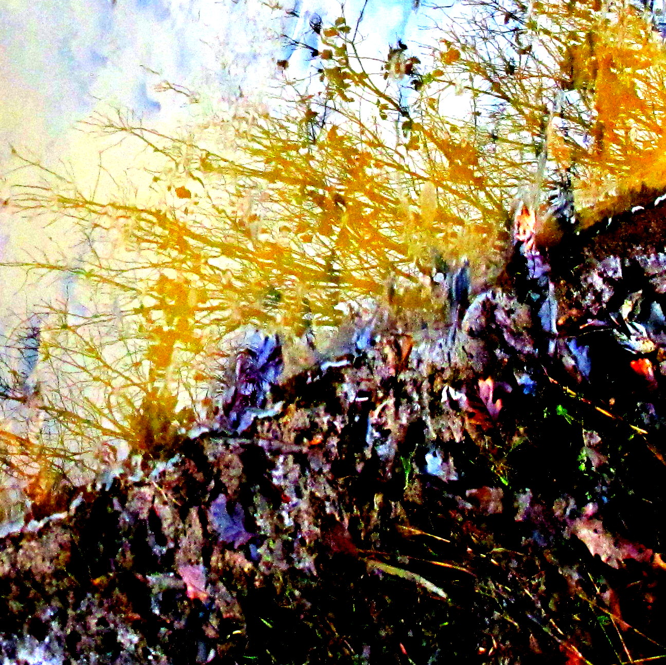 Nature is the best painter