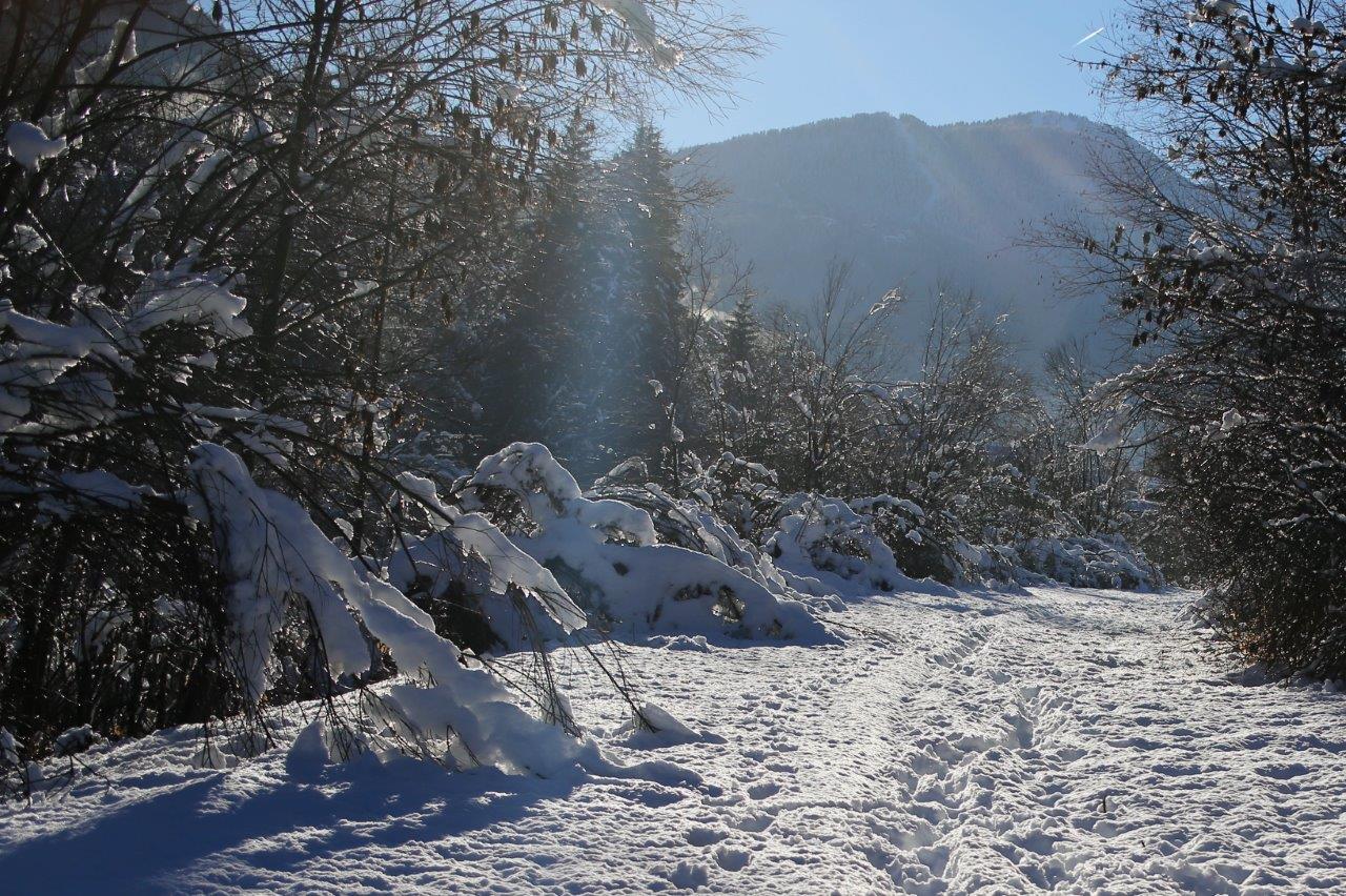 Controluce sulla neve