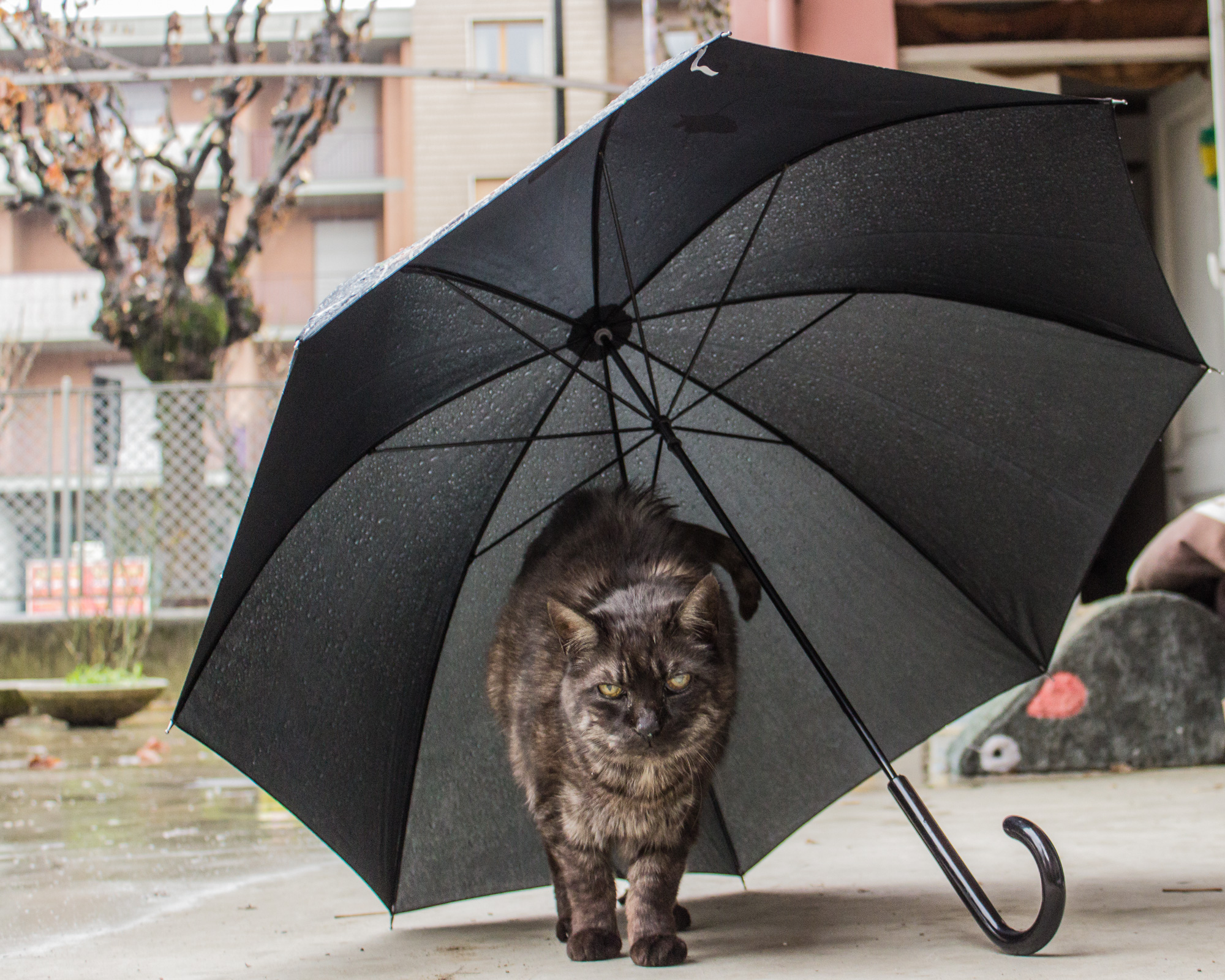 Alla mia età devo ripararmi