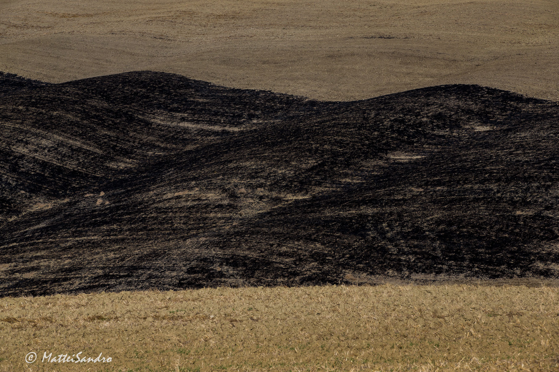 Games of the earth 4