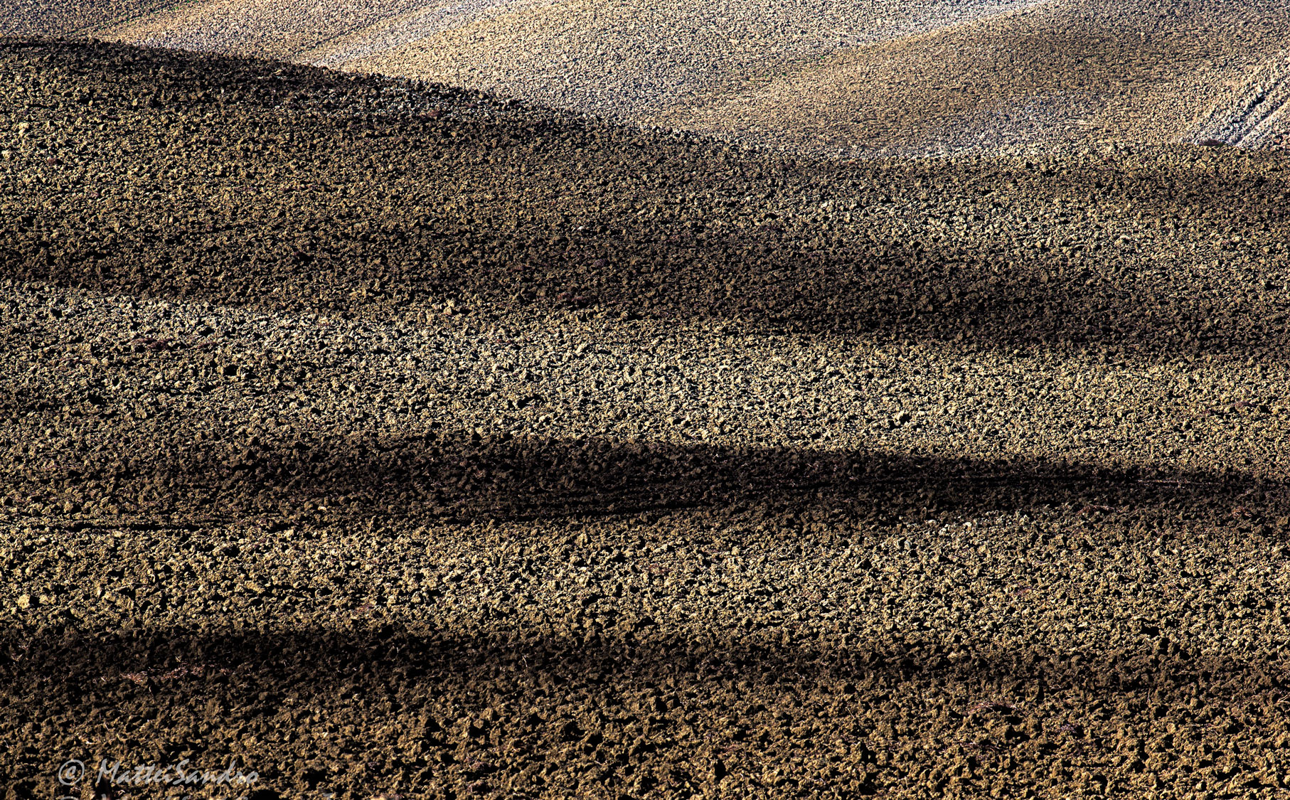 Games of the earth 5