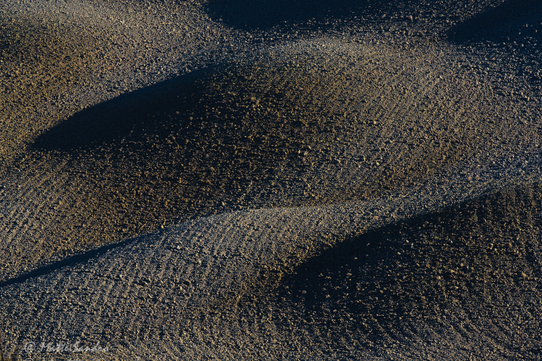 Games of the earth 6