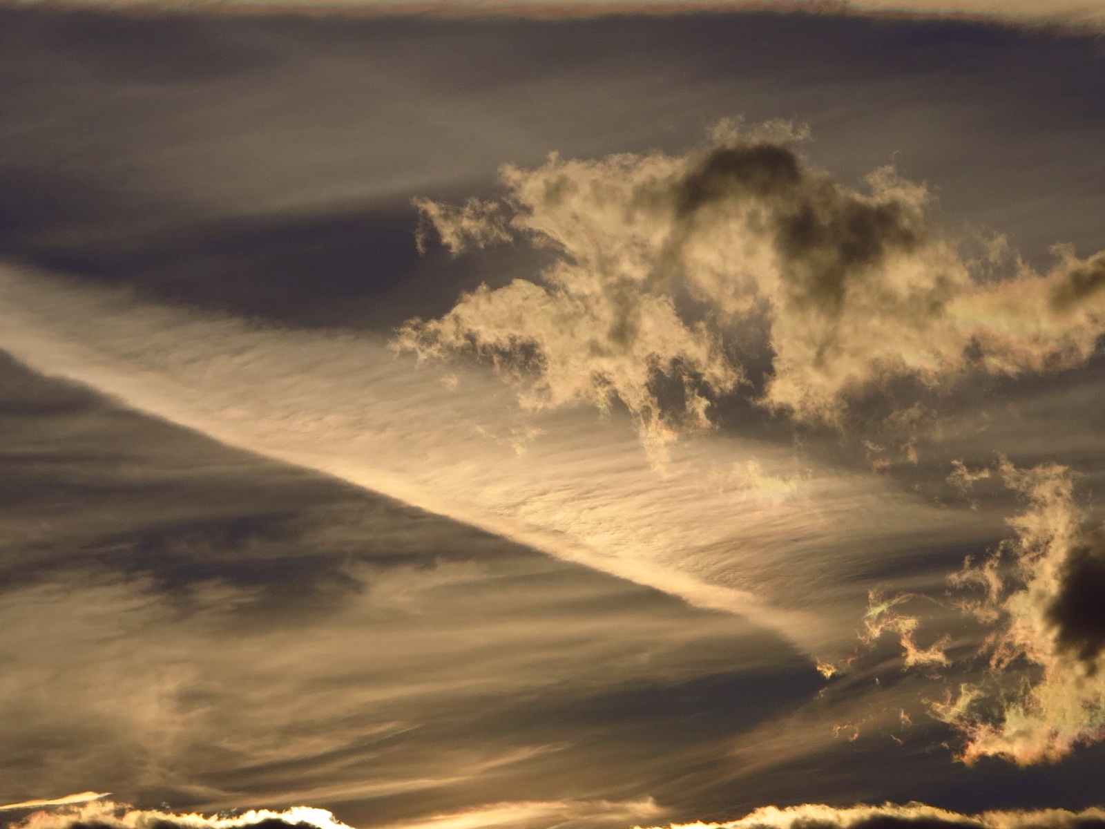 Oggi guardo il cielo.