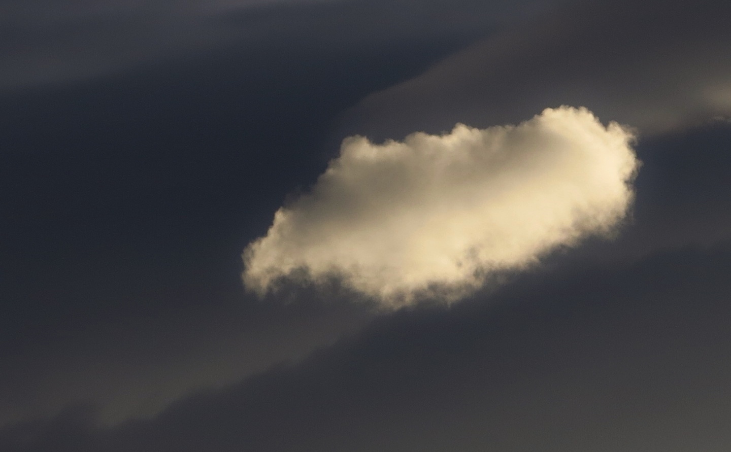 La pecorella smarrita-