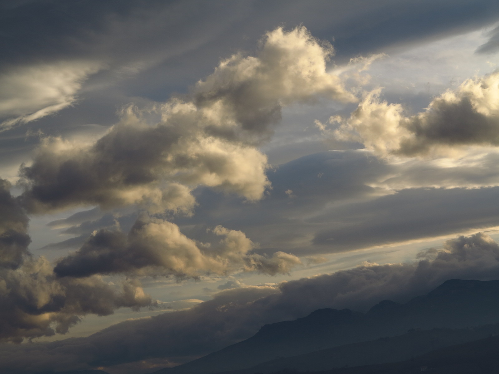 Nembo cumoli in agitazione-