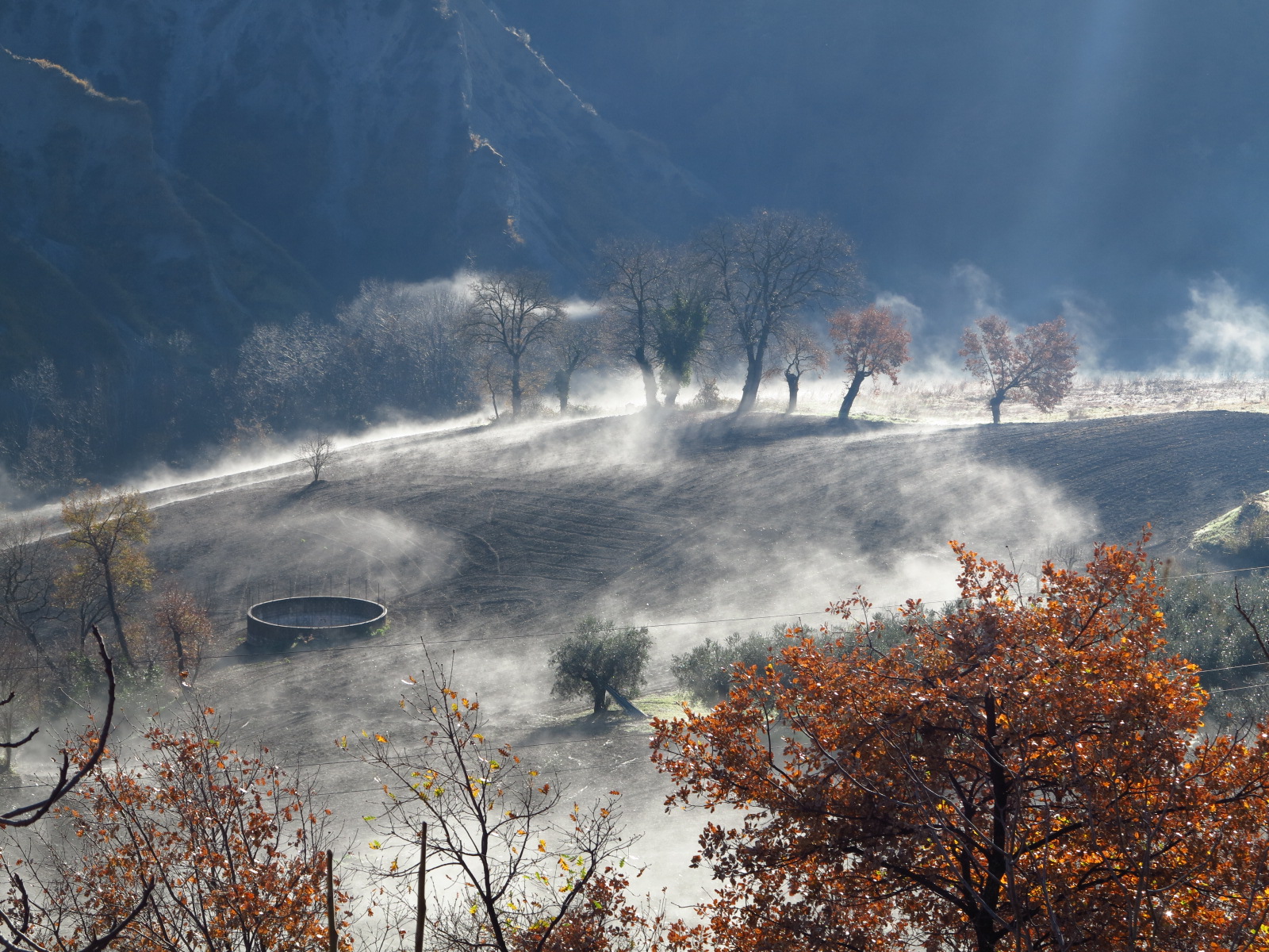 Evaporazioni mattutine-