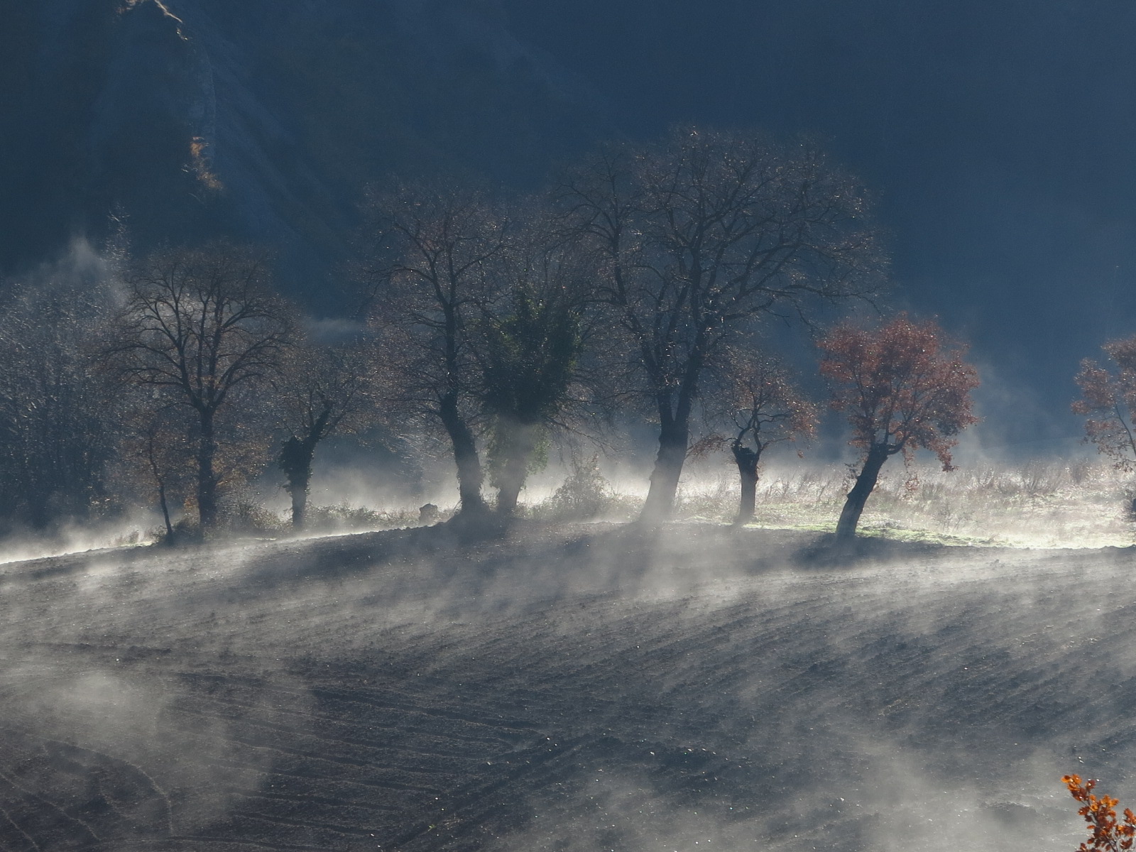 Le quercie, contente di liberarsi dal freddo.