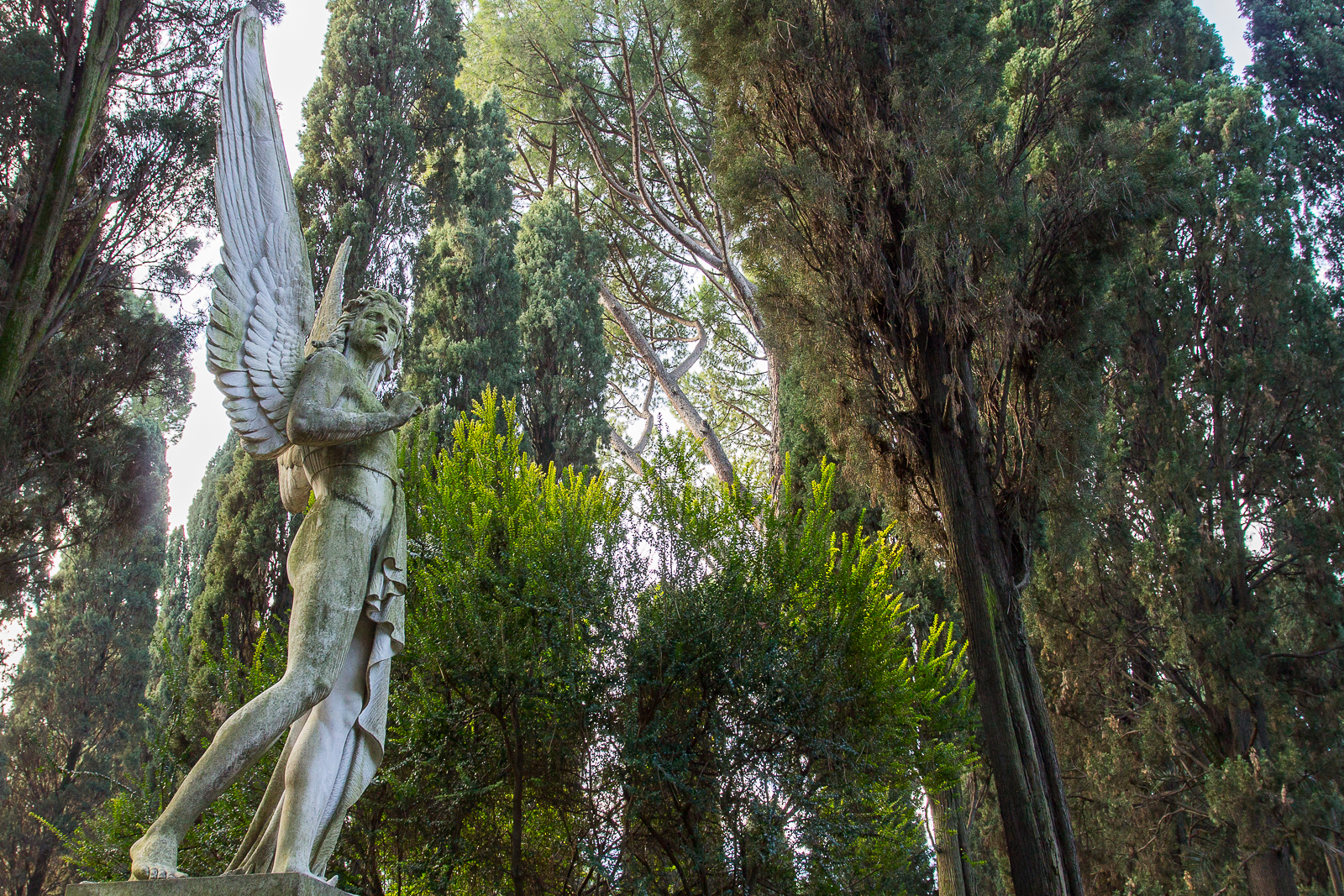 Angelo tra gli alberi